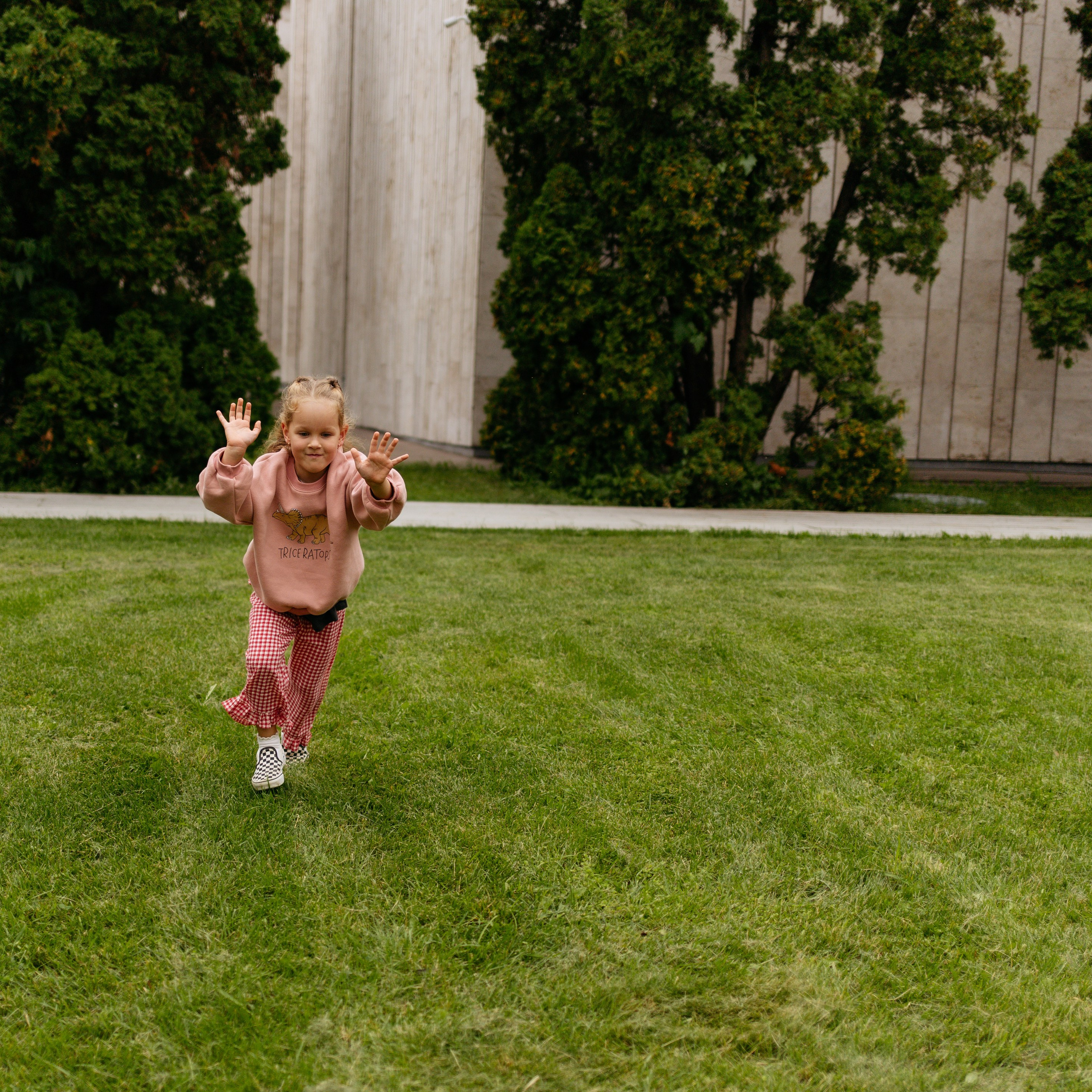 День рождения Василисы (дом, парк)