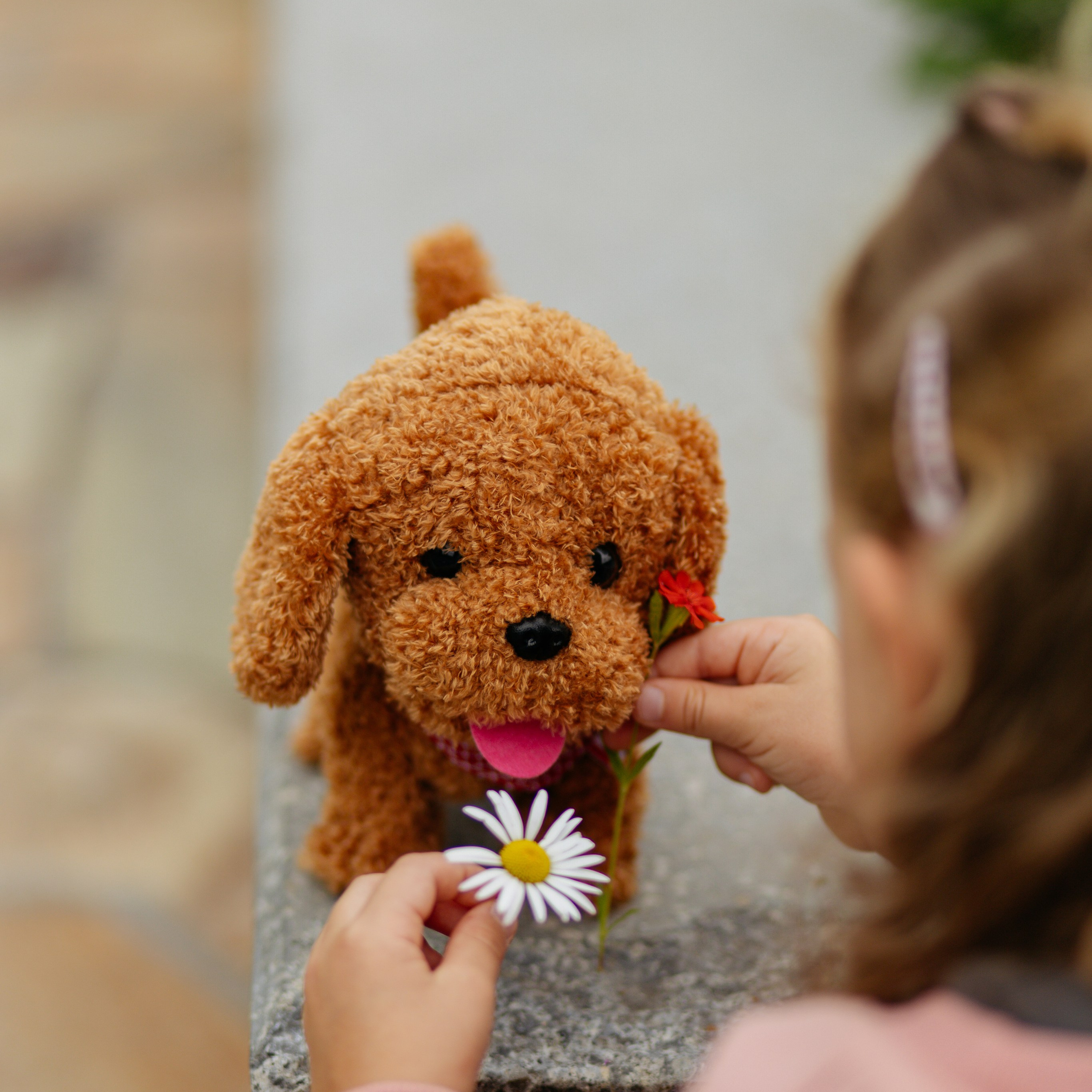 День рождения Василисы (дом, парк)