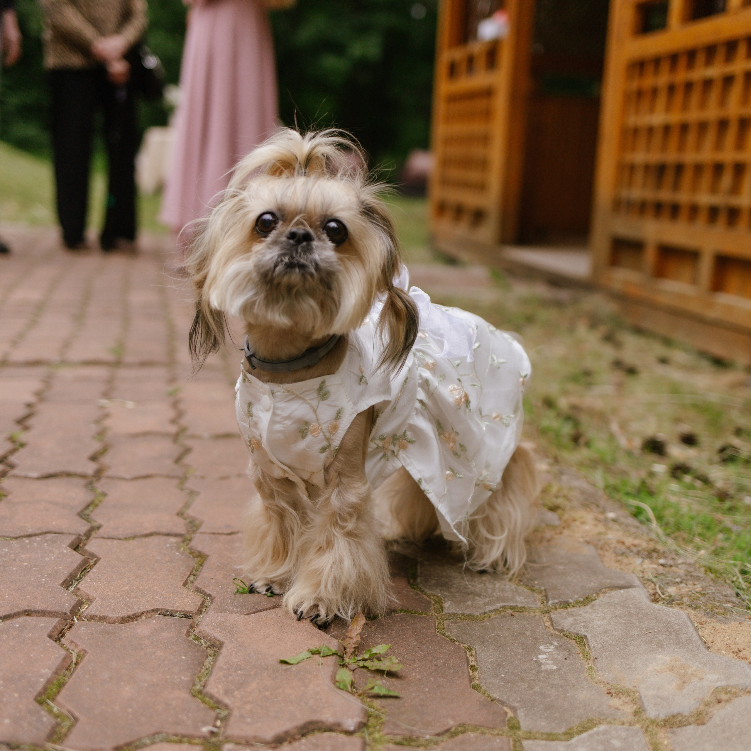 День рождения Вероники 🎂