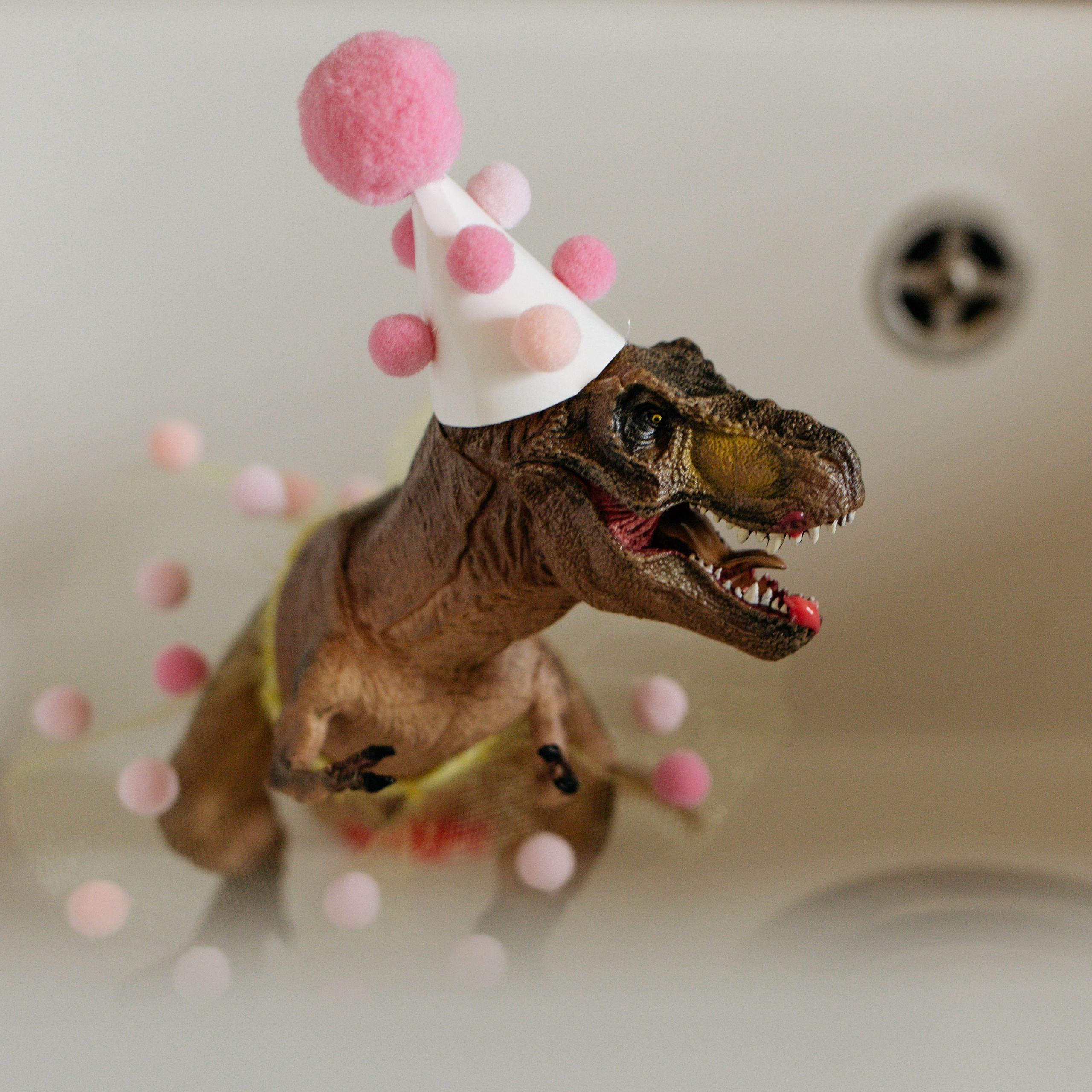 День рождения Василисы (дом, парк)