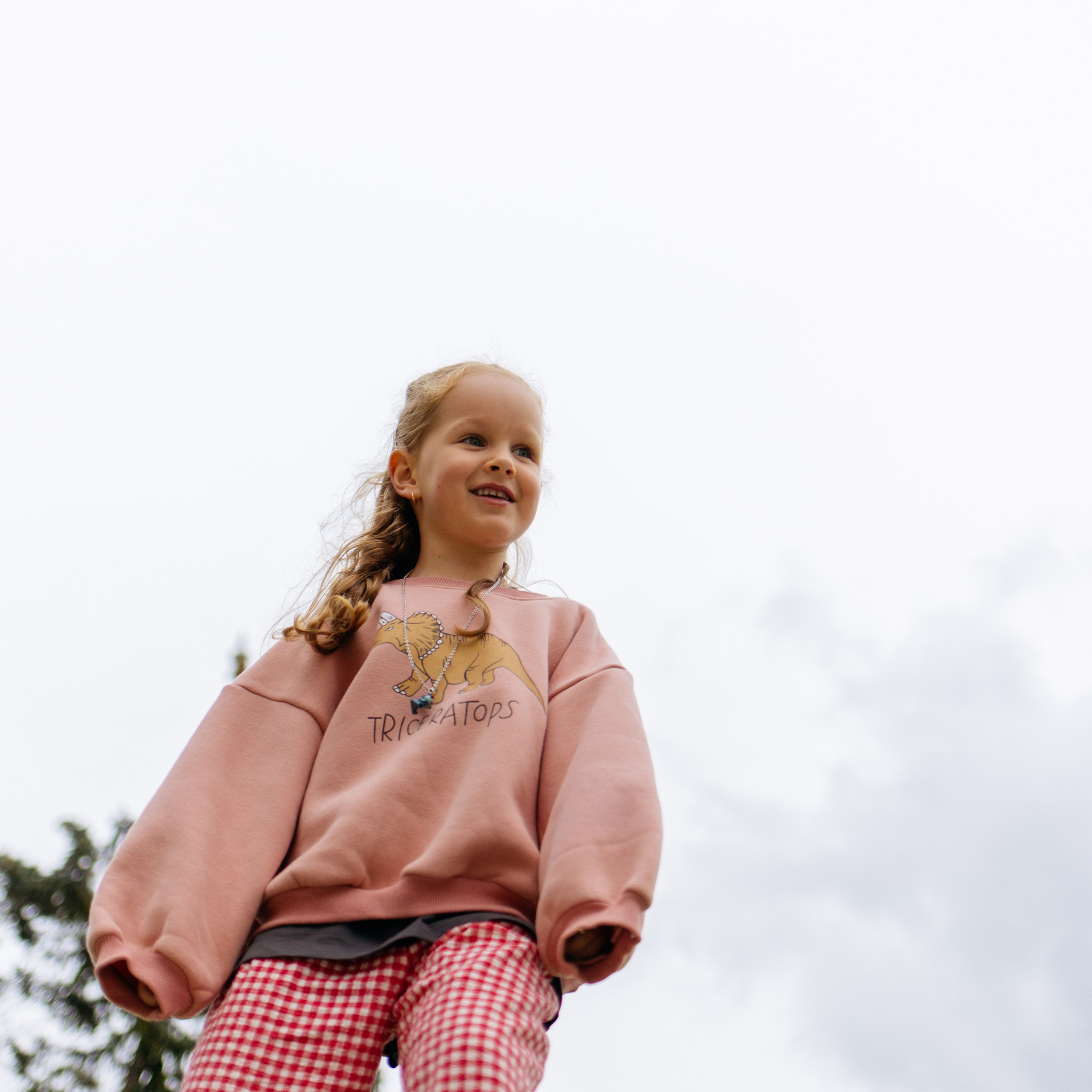 День рождения Василисы (дом, парк)