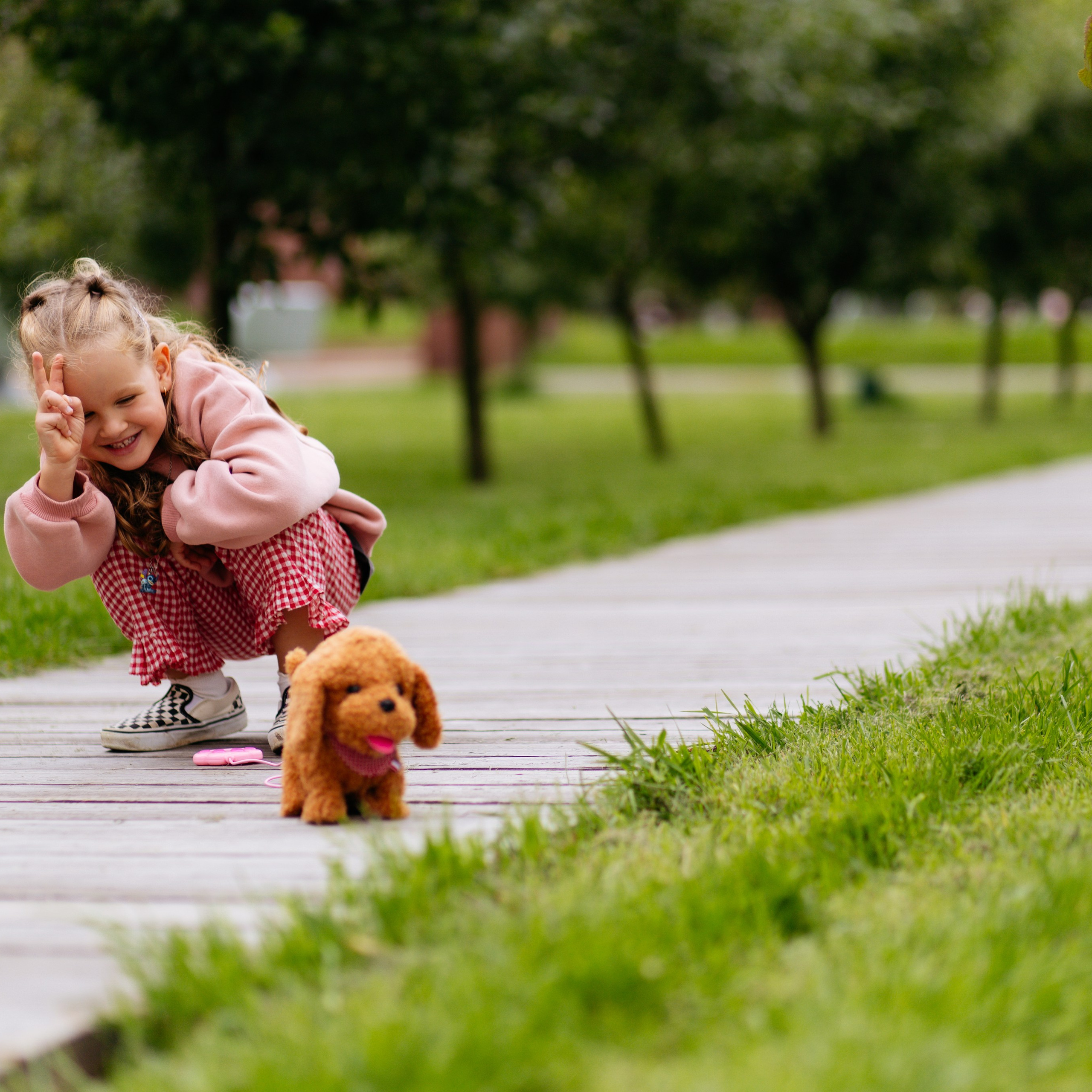 День рождения Василисы (дом, парк)