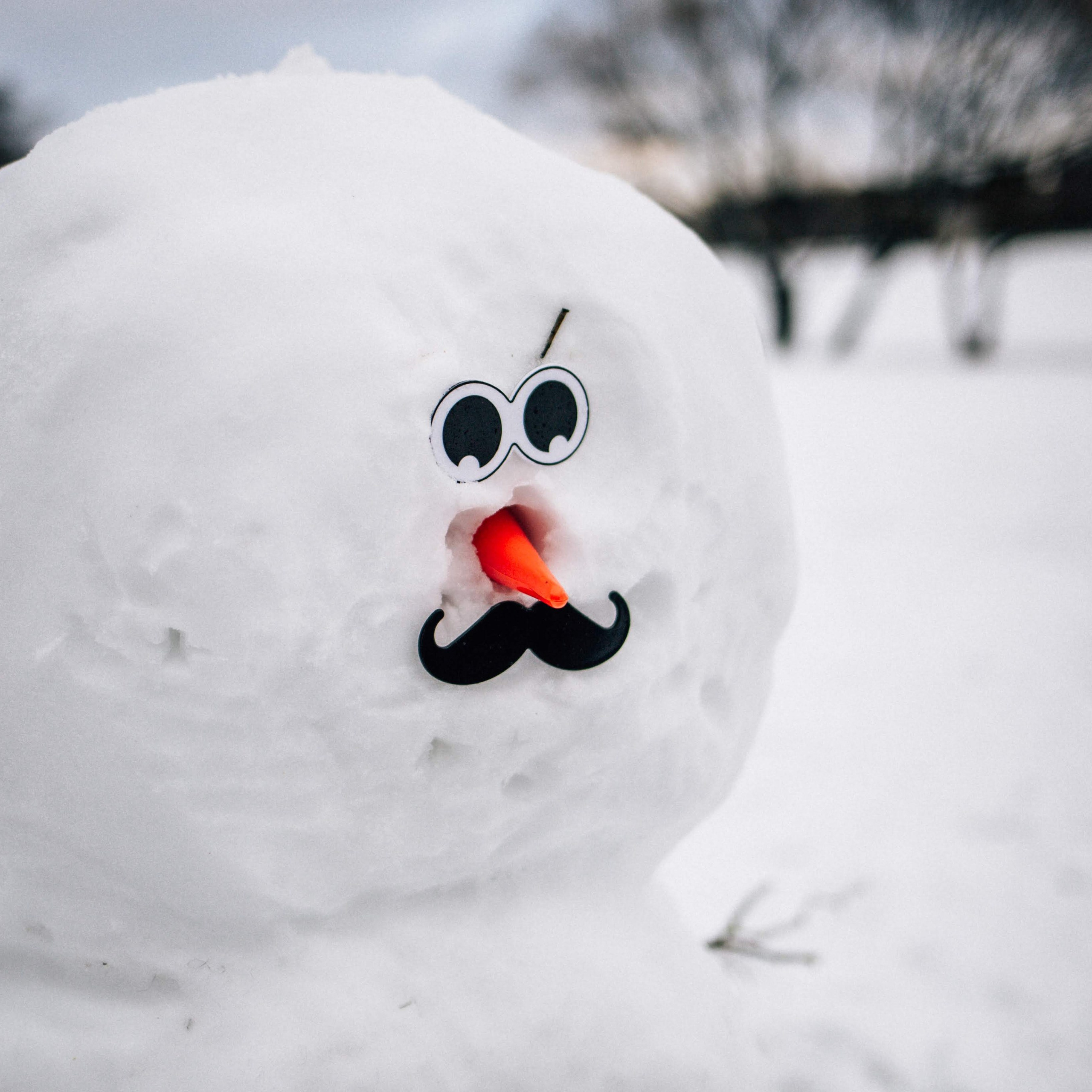 Зимняя прогулка