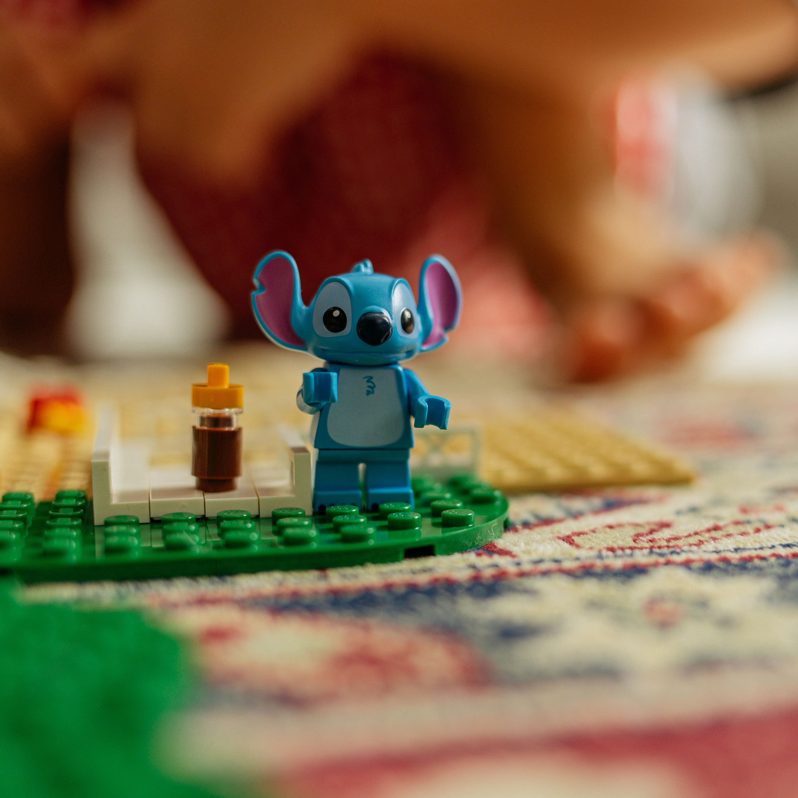 День рождения Василисы (дом, парк)