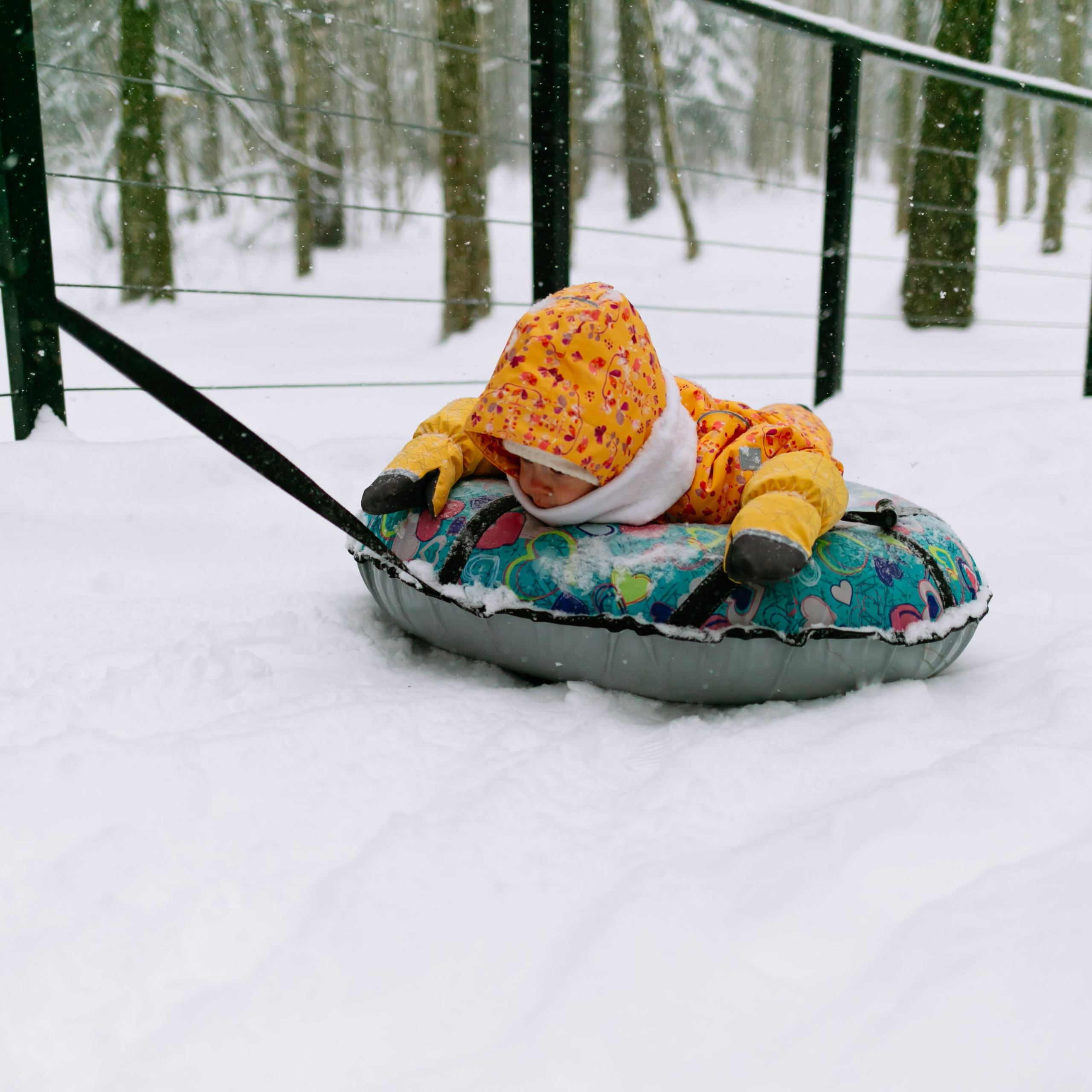 Кирилл, Марина, Саша