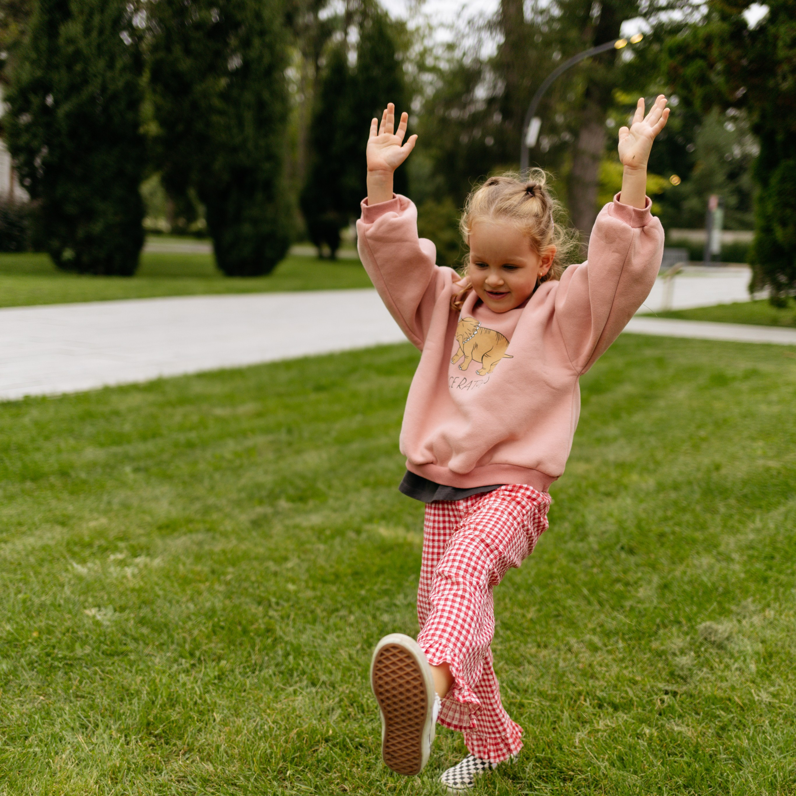 День рождения Василисы (дом, парк)