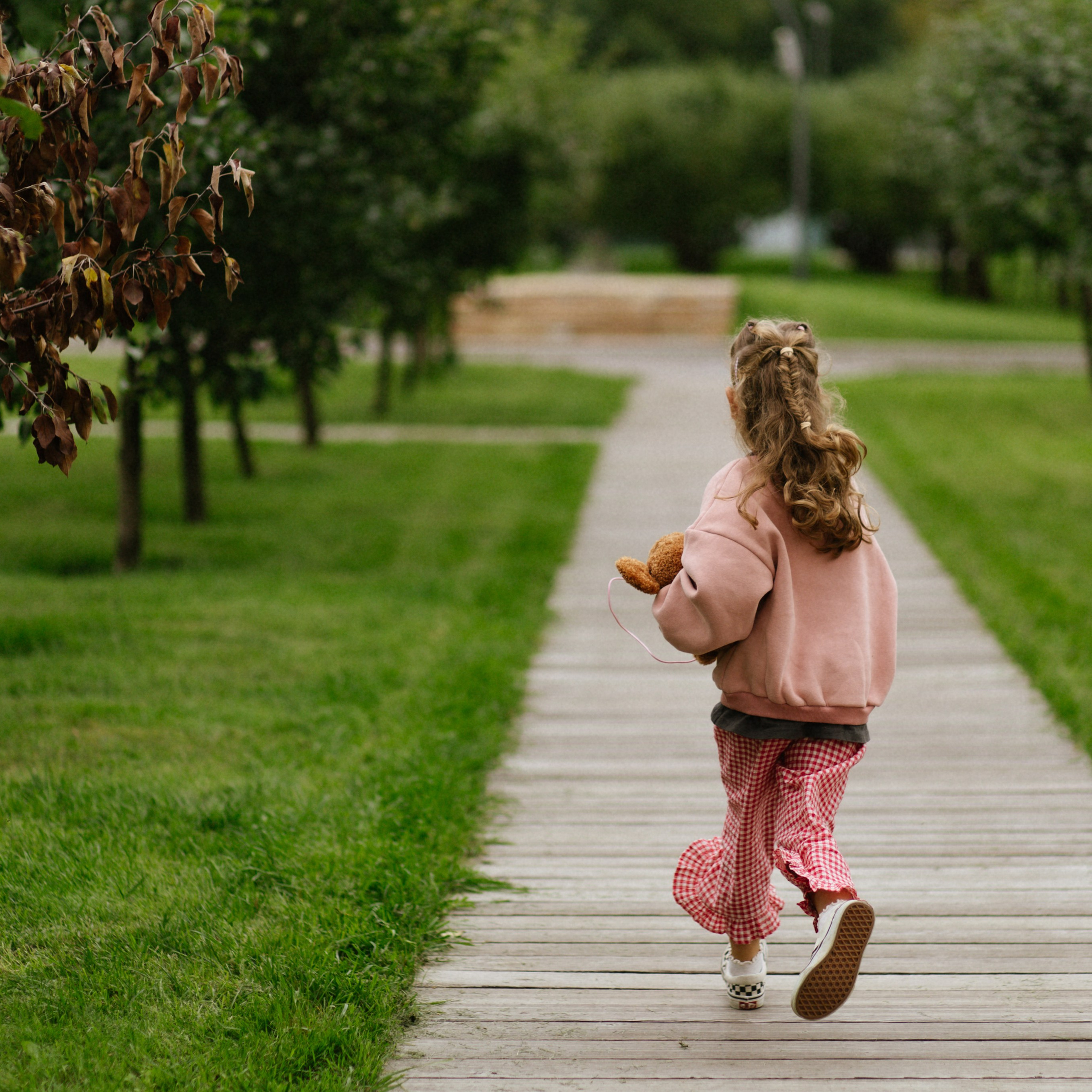 День рождения Василисы (дом, парк)