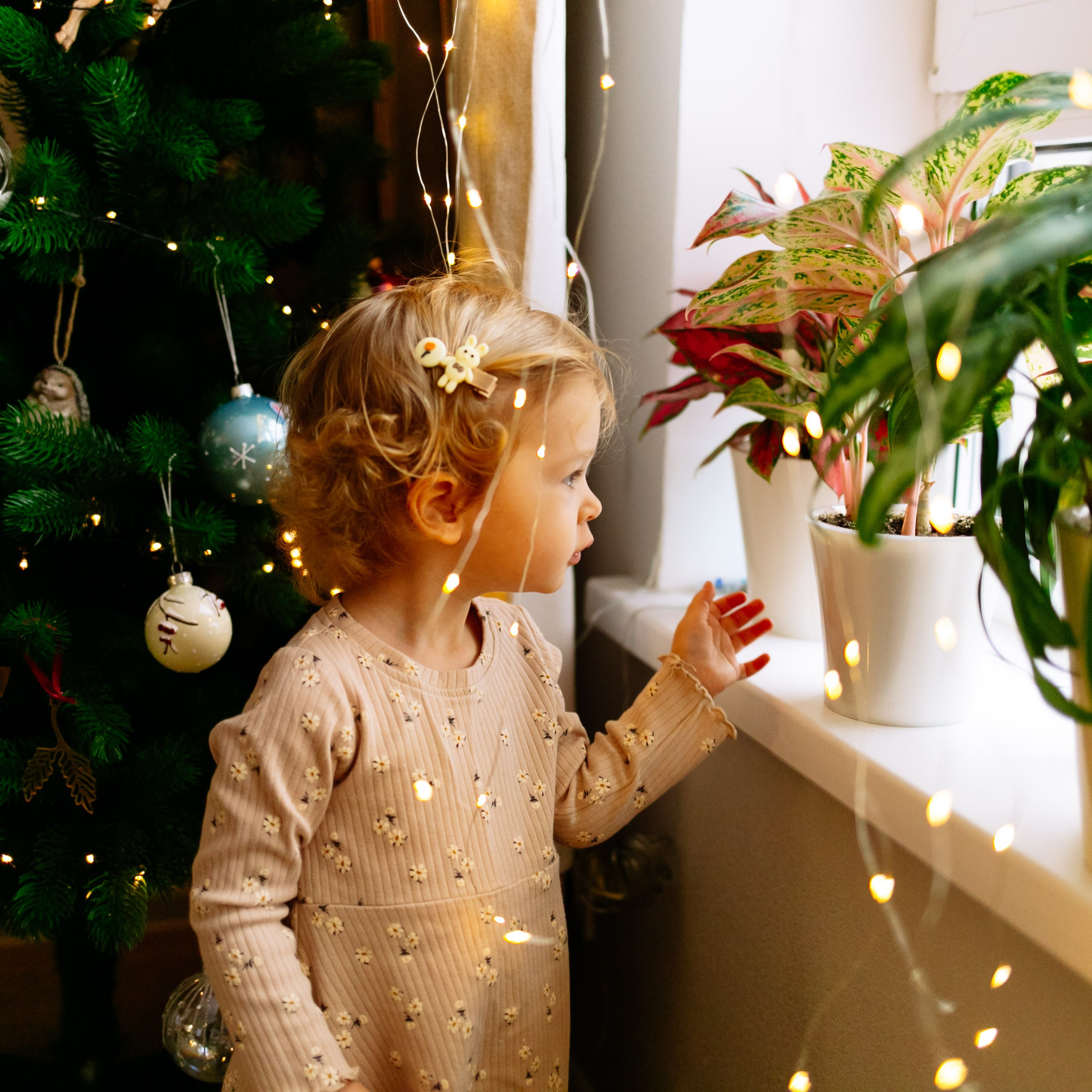 Кирилл, Марина, Саша