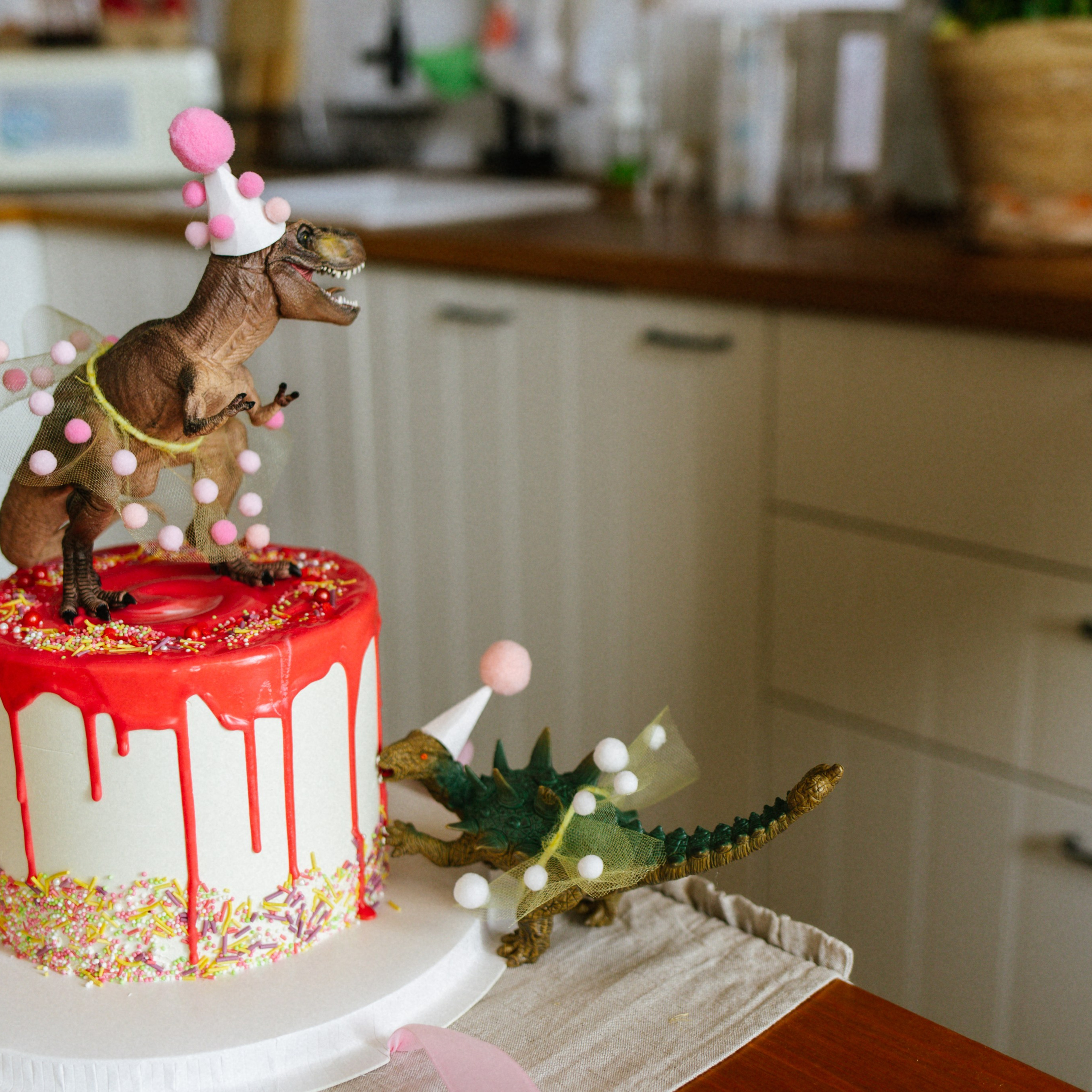 День рождения Василисы (дом, парк)