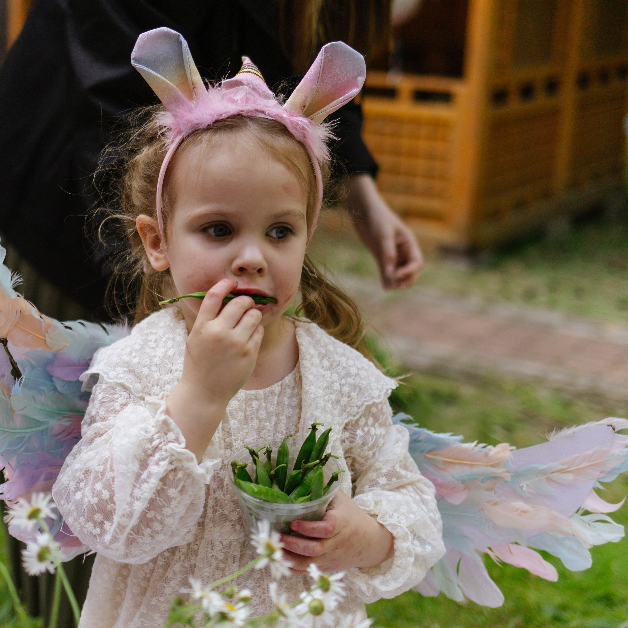 День рождения Вероники 🎂
