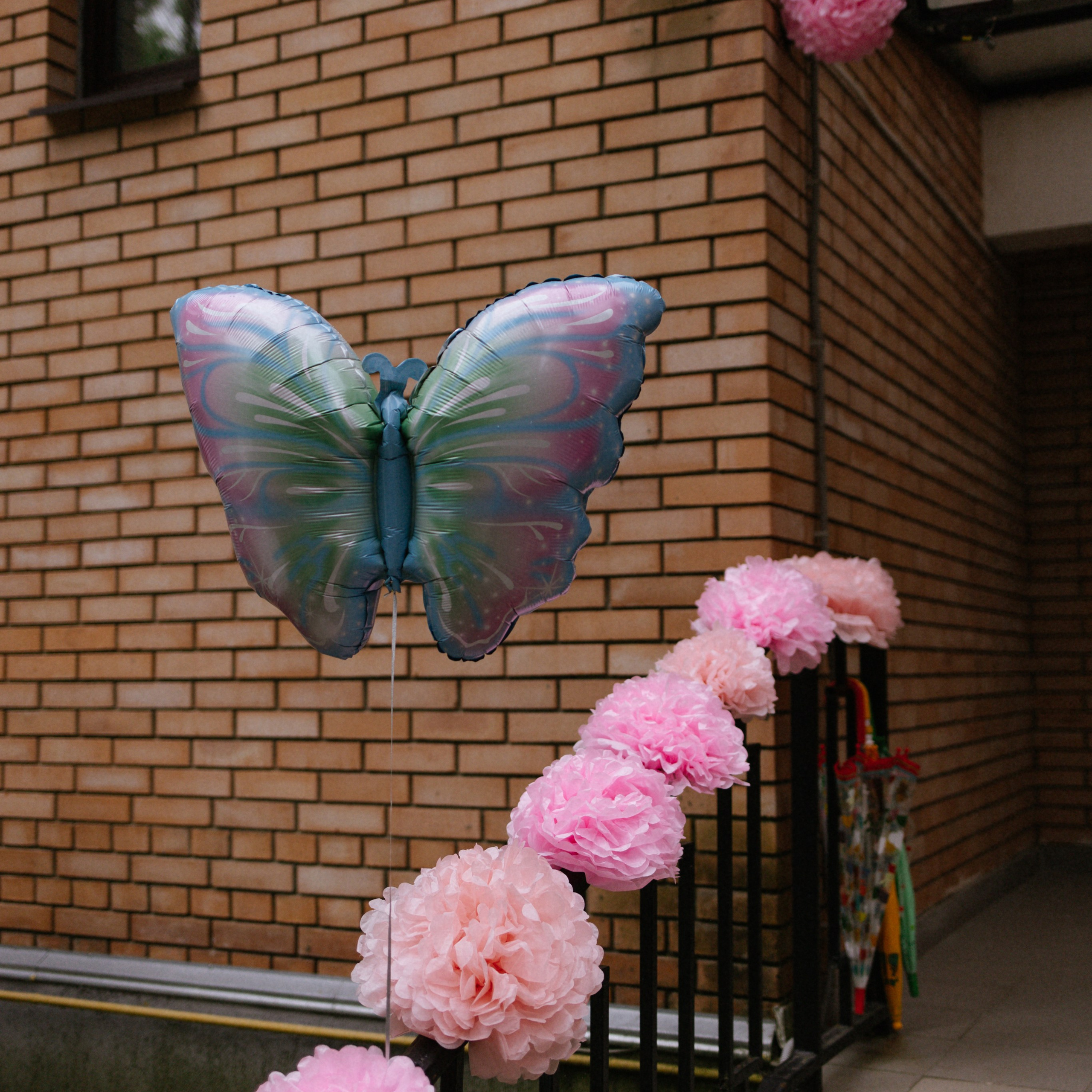 День рождения Вероники 🎂