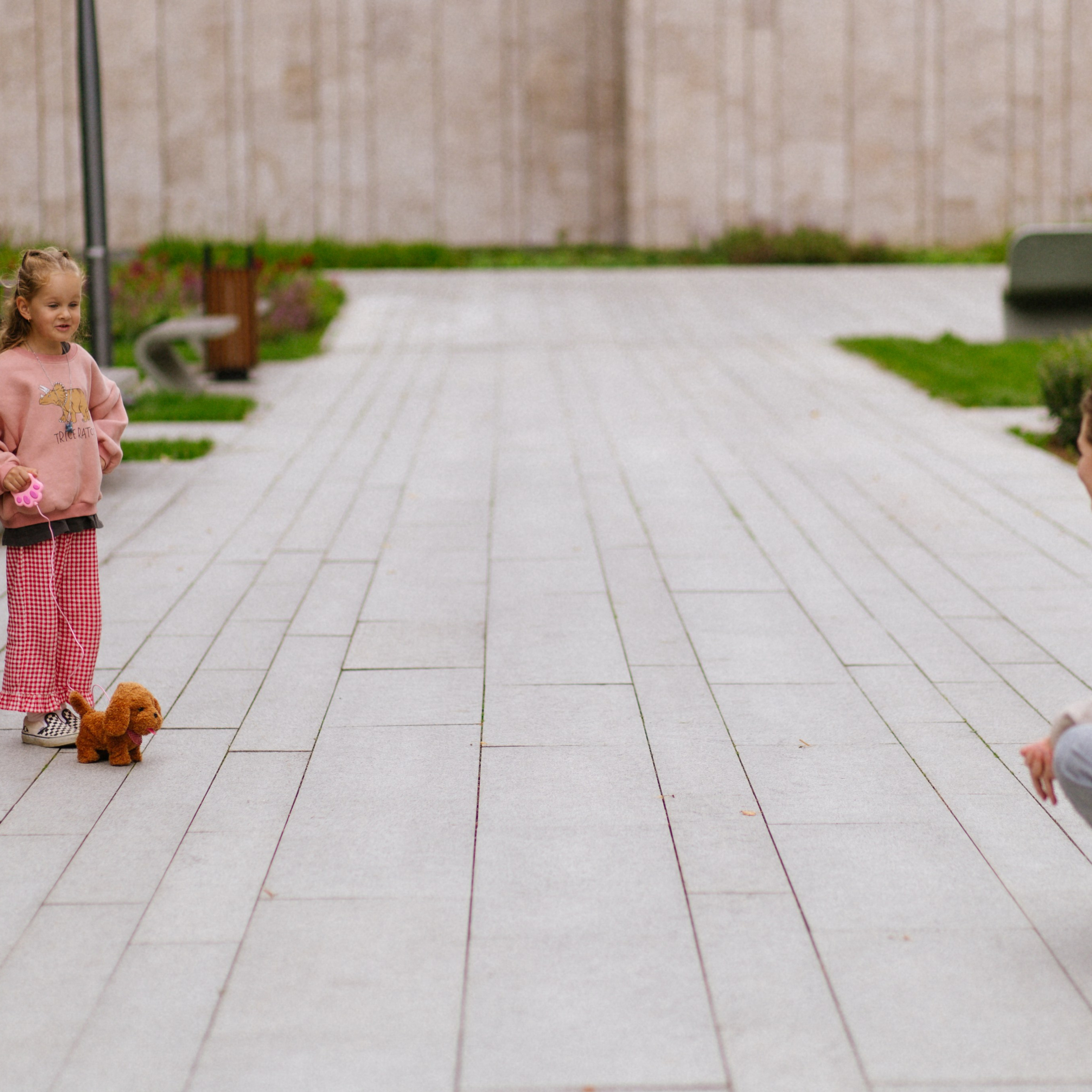 День рождения Василисы (дом, парк)