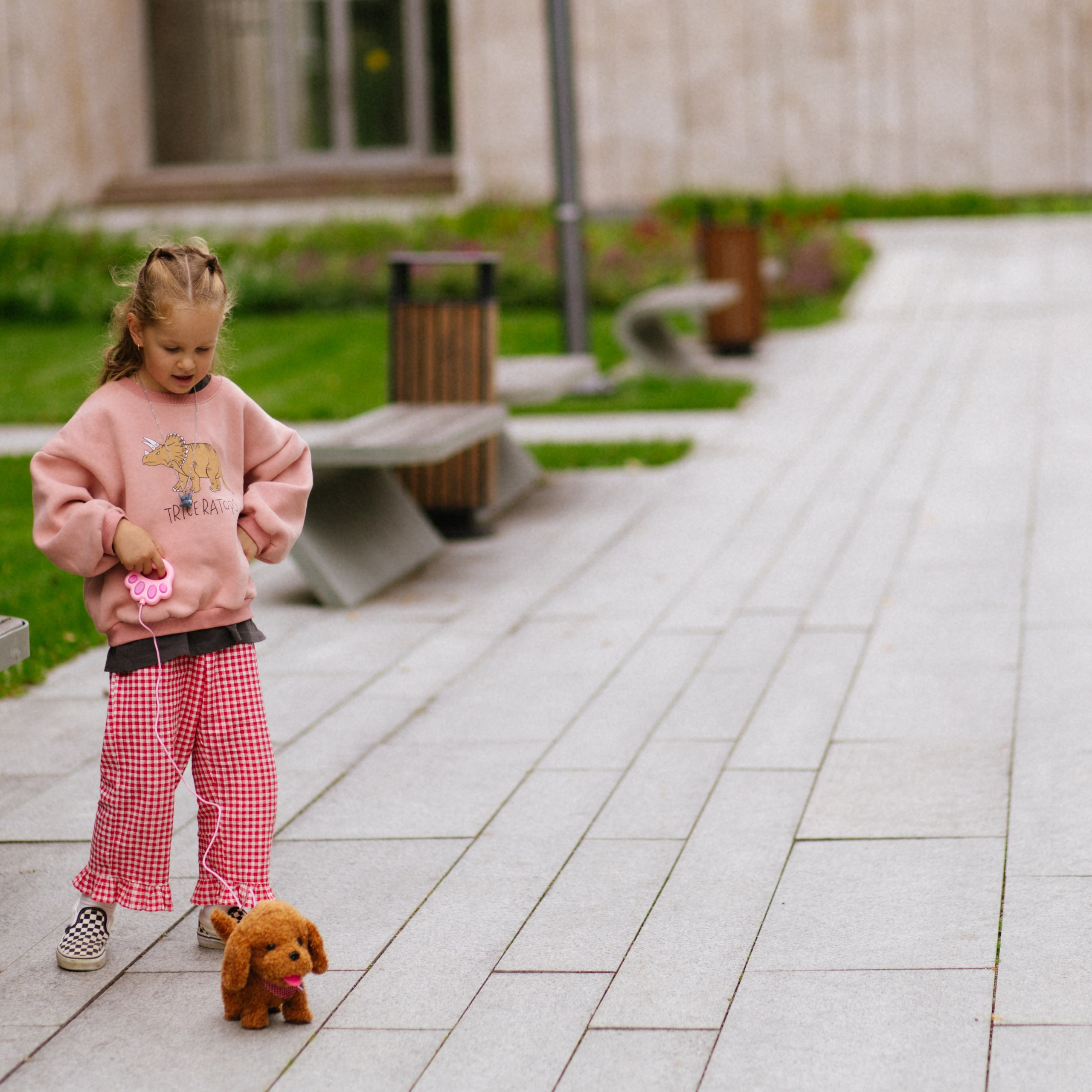 День рождения Василисы (дом, парк)