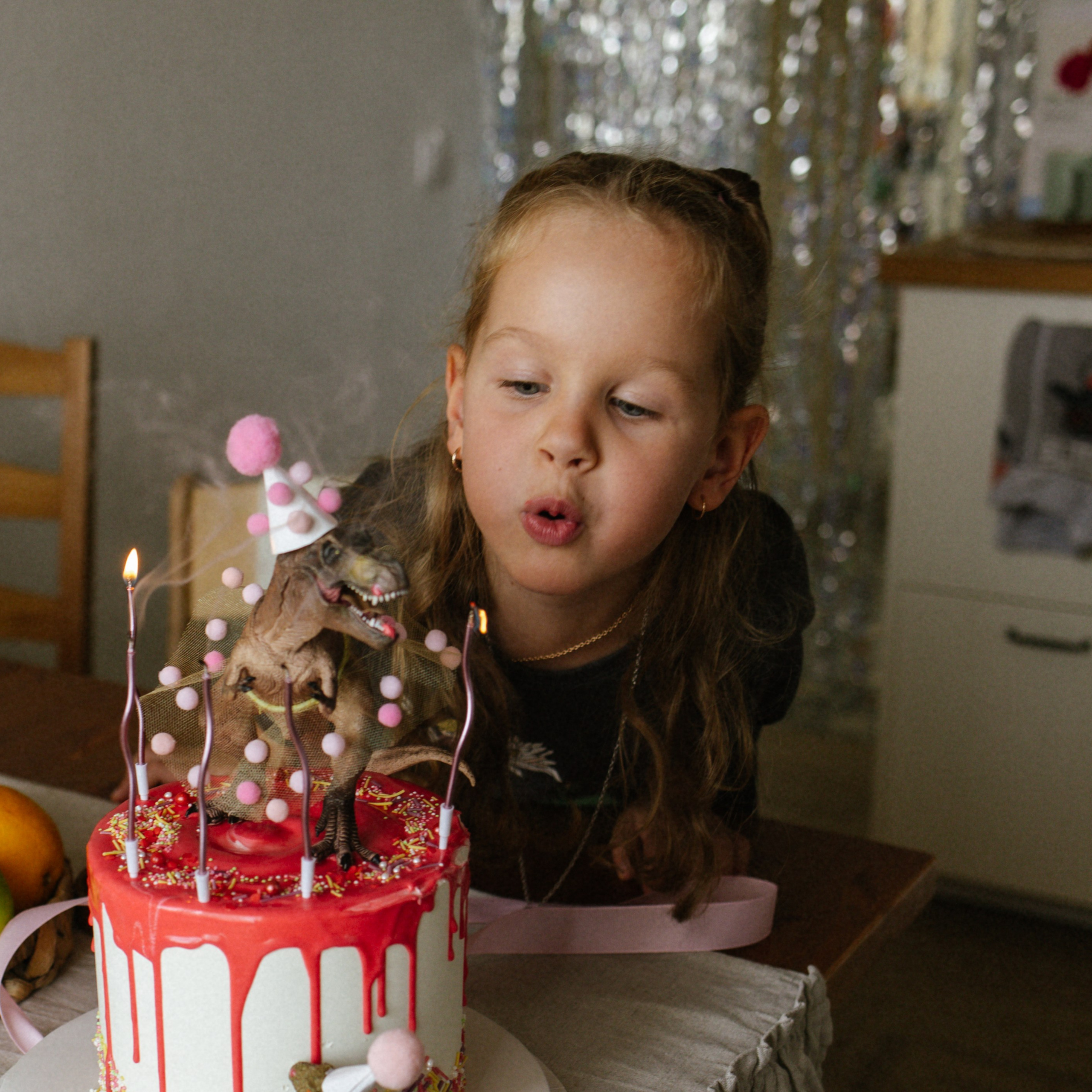 День рождения Василисы (дом, парк)