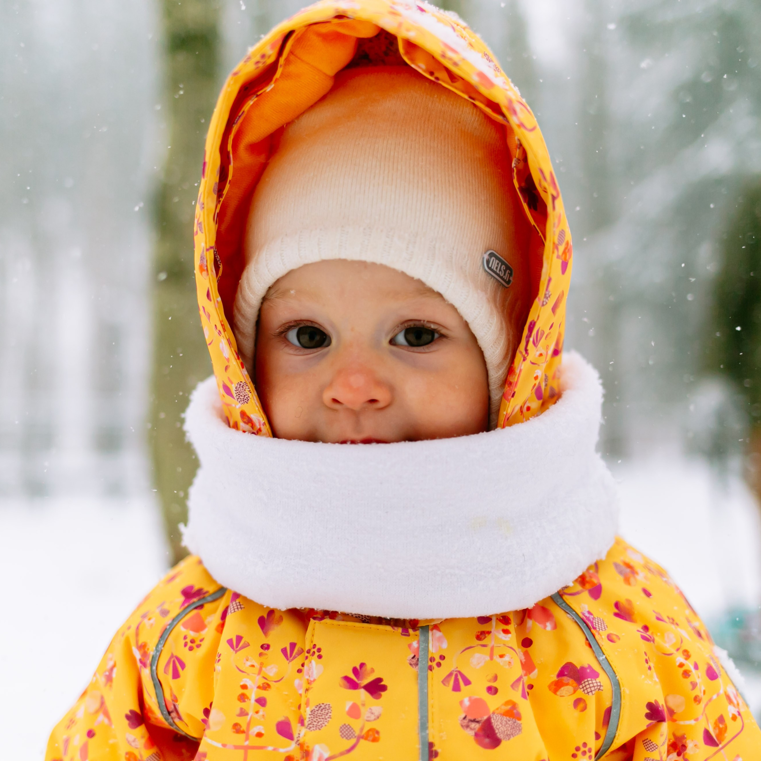 Кирилл, Марина, Саша