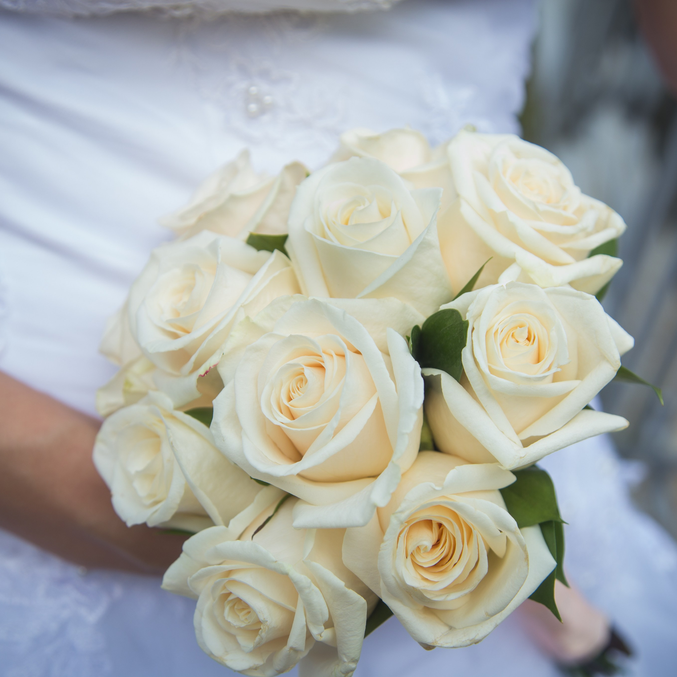 Свадебная съемка в Загсе Стародеревенская 5 и прогулка по Елагину острову