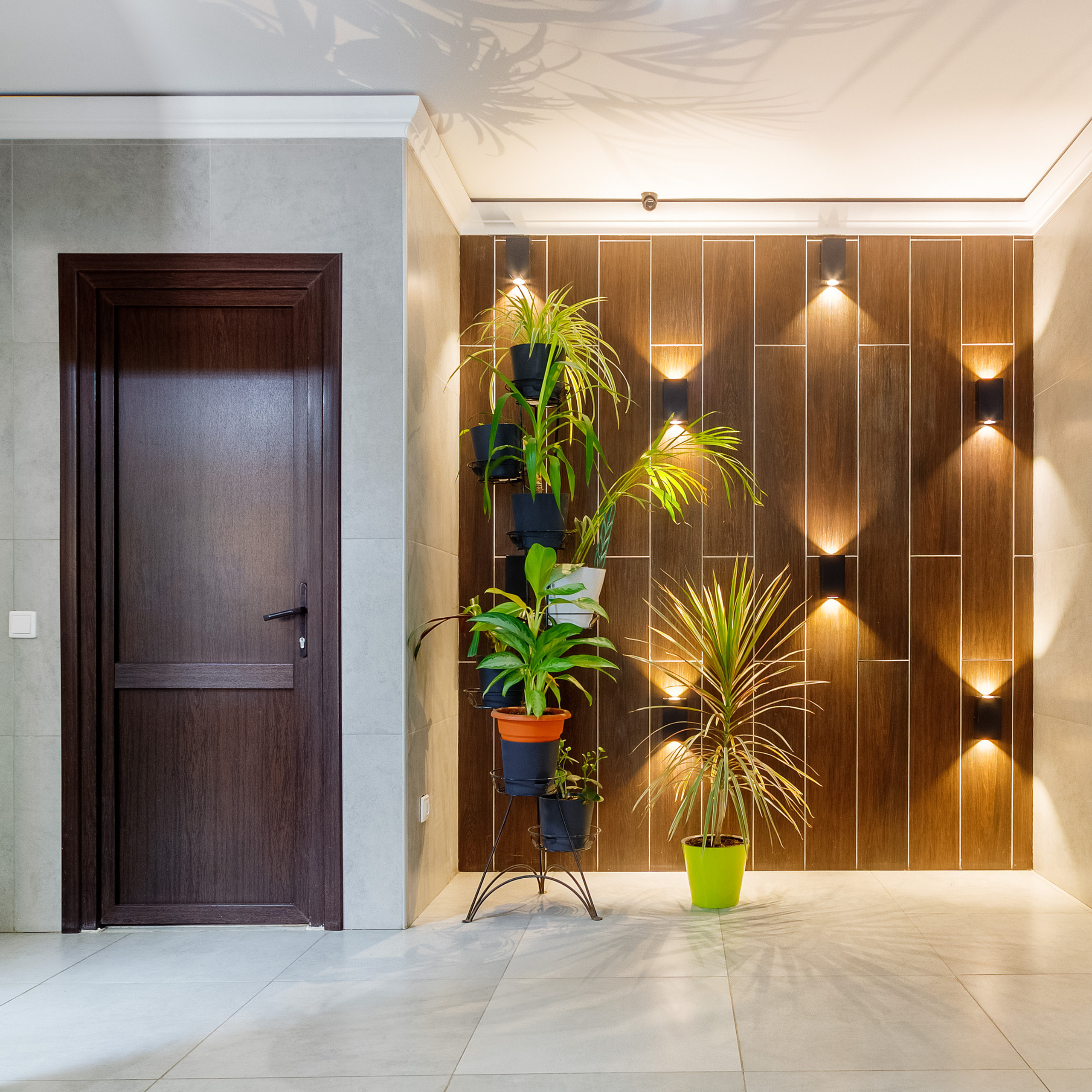 Оформление стены с подсветкой и комнатными растения в коридоре