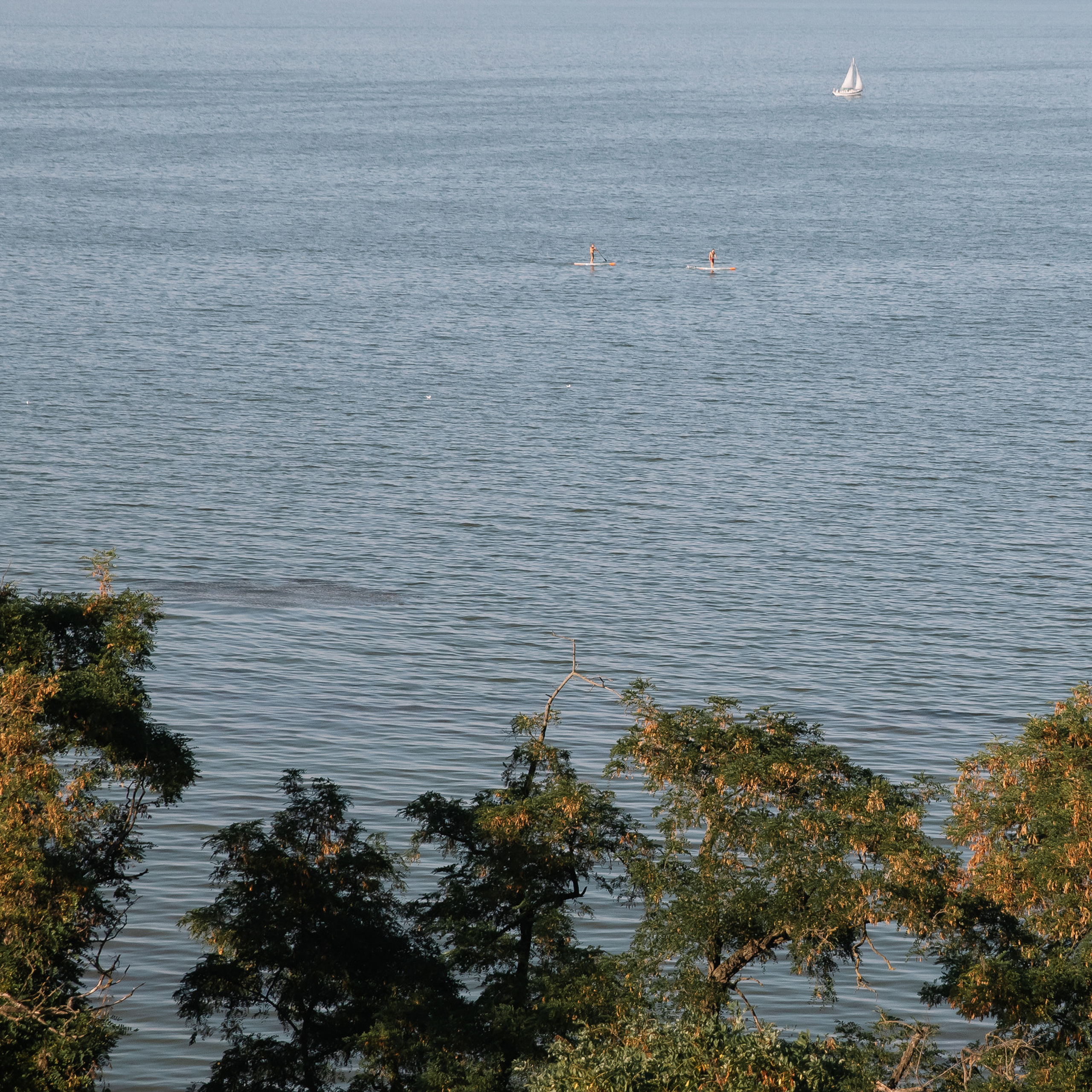 ОТЗЫВЫ. Свадебный фотограф в Ростове-на-Дону Васильченко Сергей