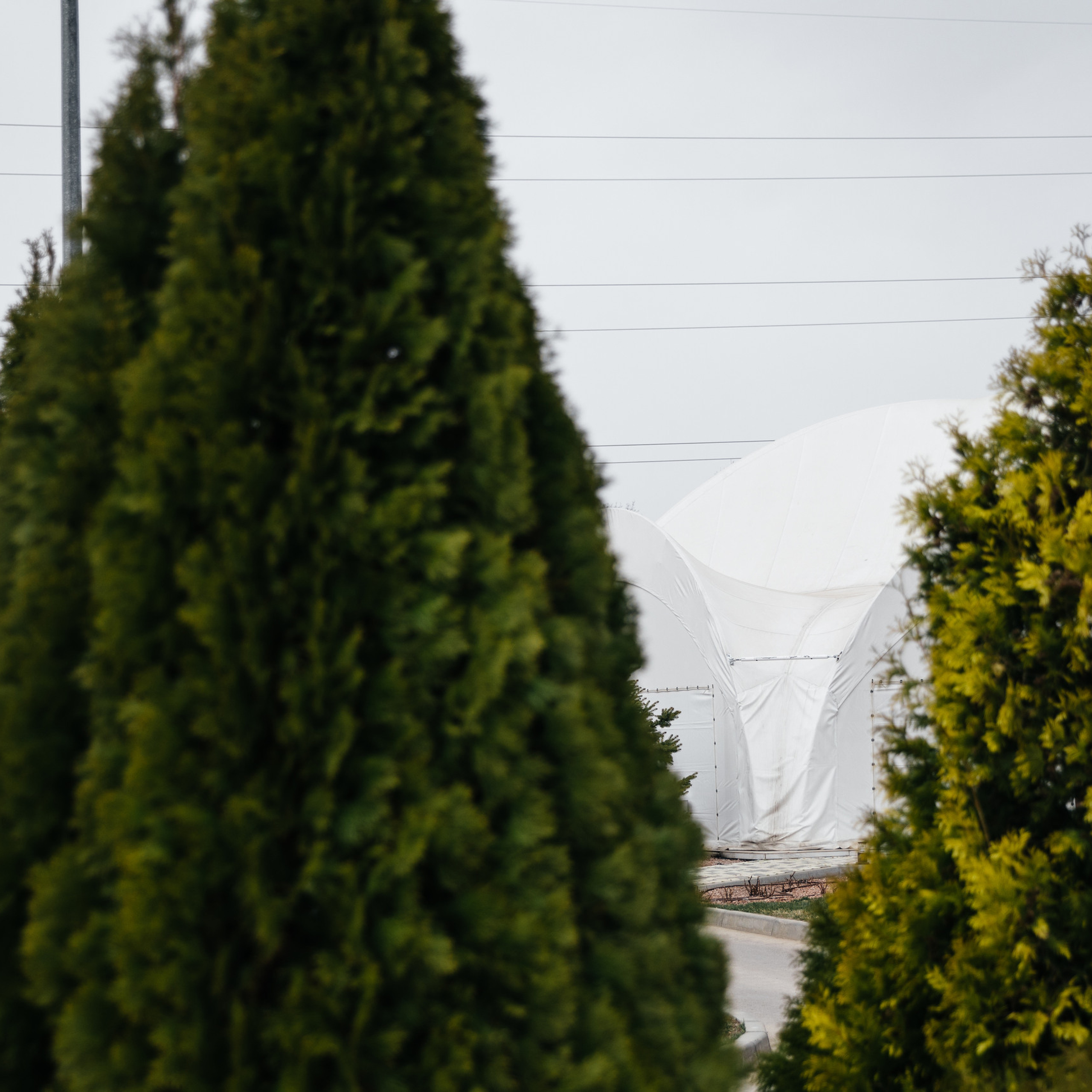 ОТЗЫВЫ. Свадебный фотограф в Ростове-на-Дону Васильченко Сергей