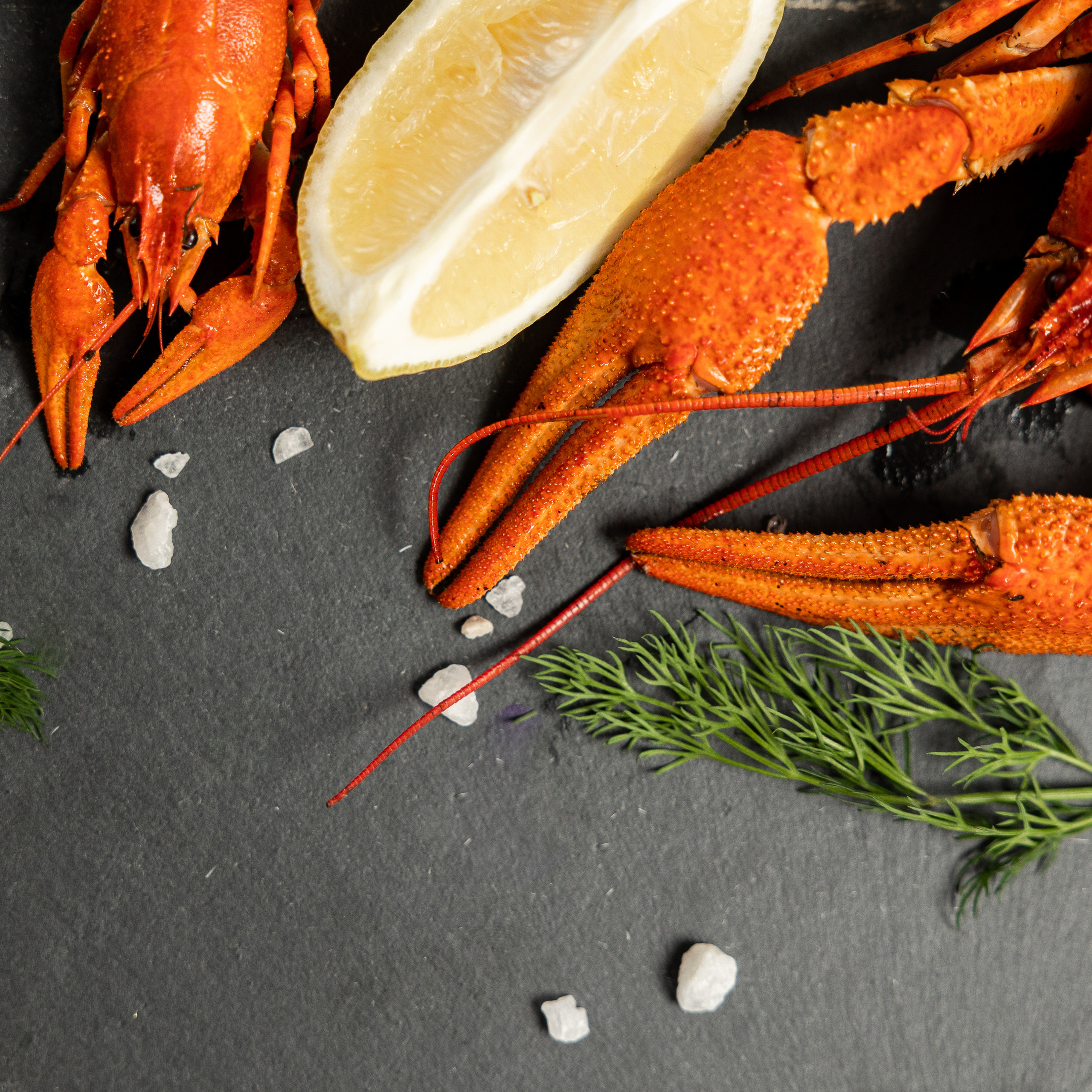 ОТЗЫВЫ. Свадебный фотограф в Ростове-на-Дону Васильченко Сергей