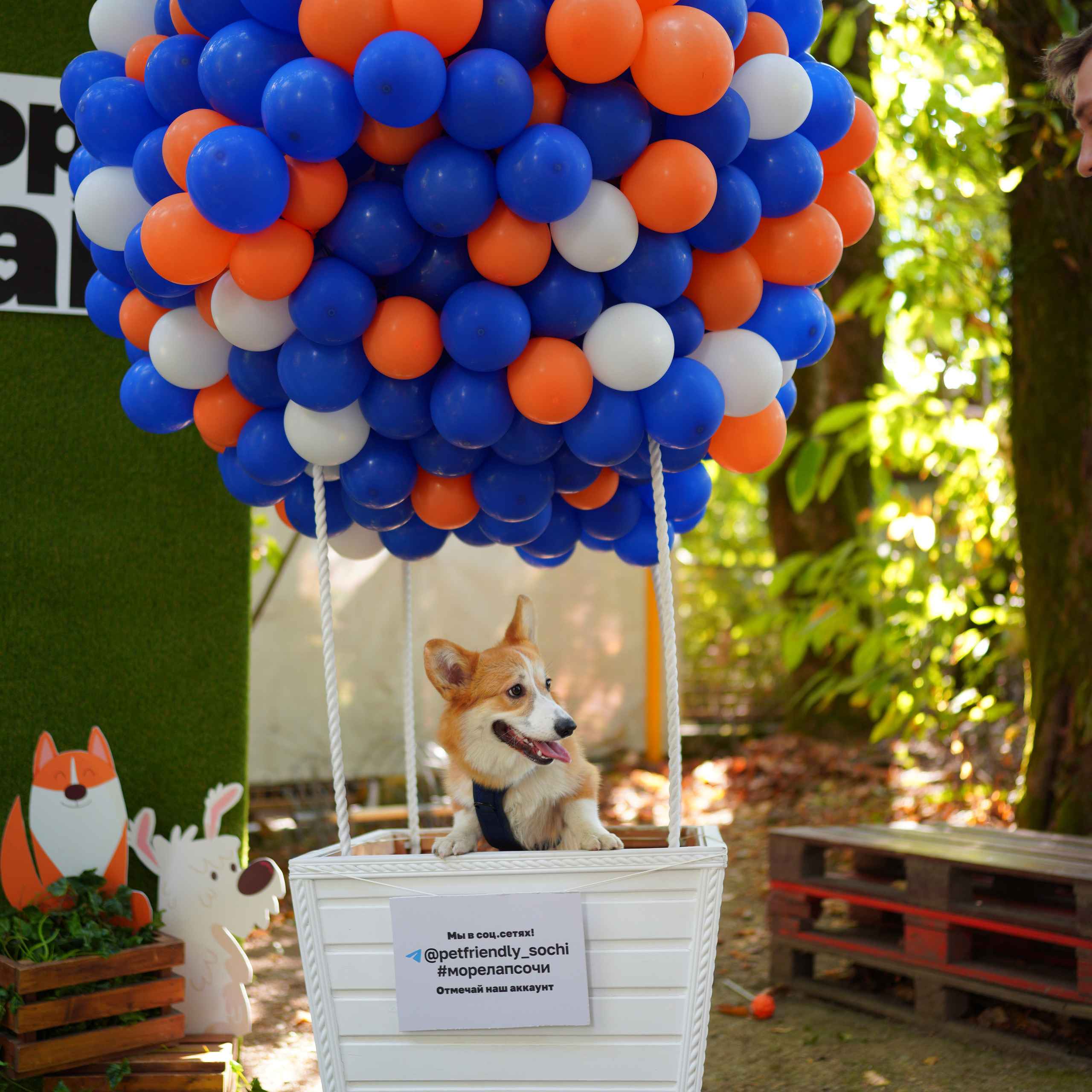 Фотограф Сочи Адлер Красная Поляна Елена Горбачкова