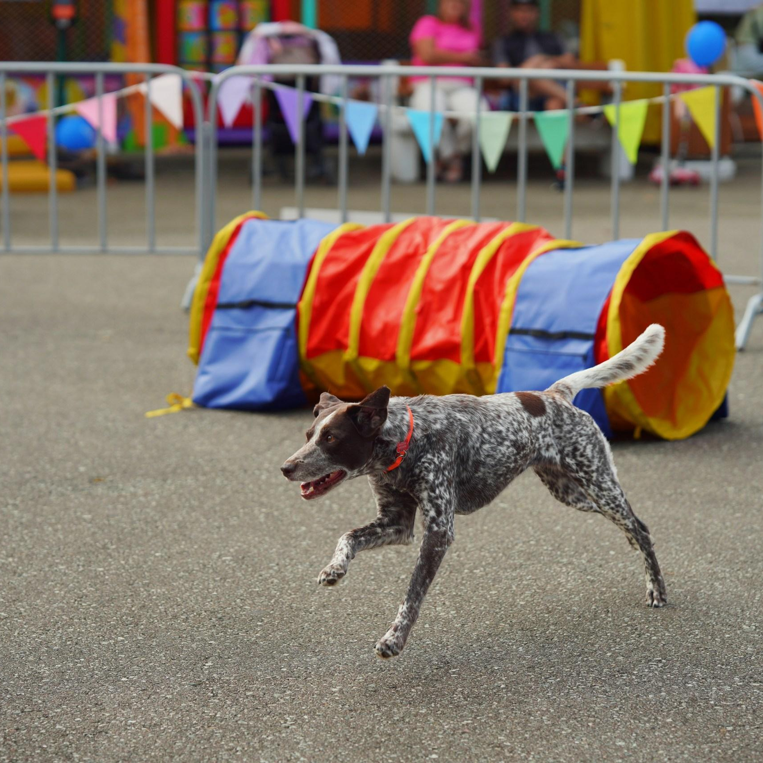 Фотограф Сочи Адлер Красная Поляна Елена Горбачкова