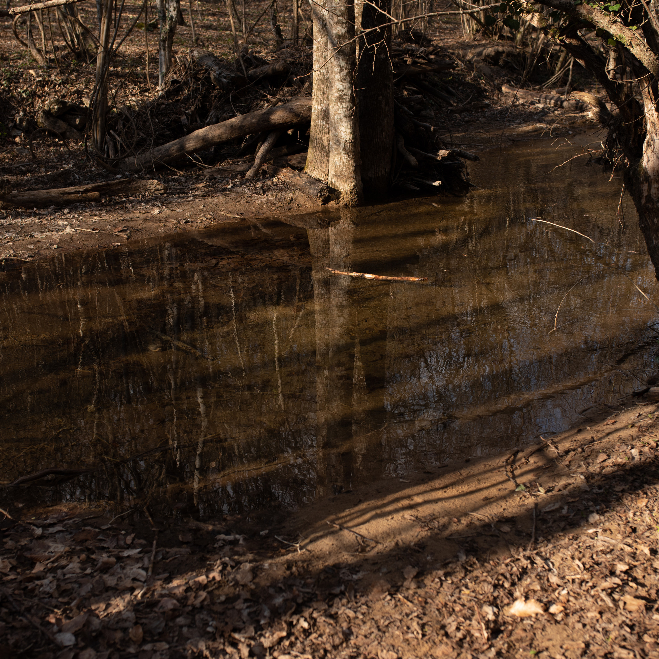 Поход к водопаду