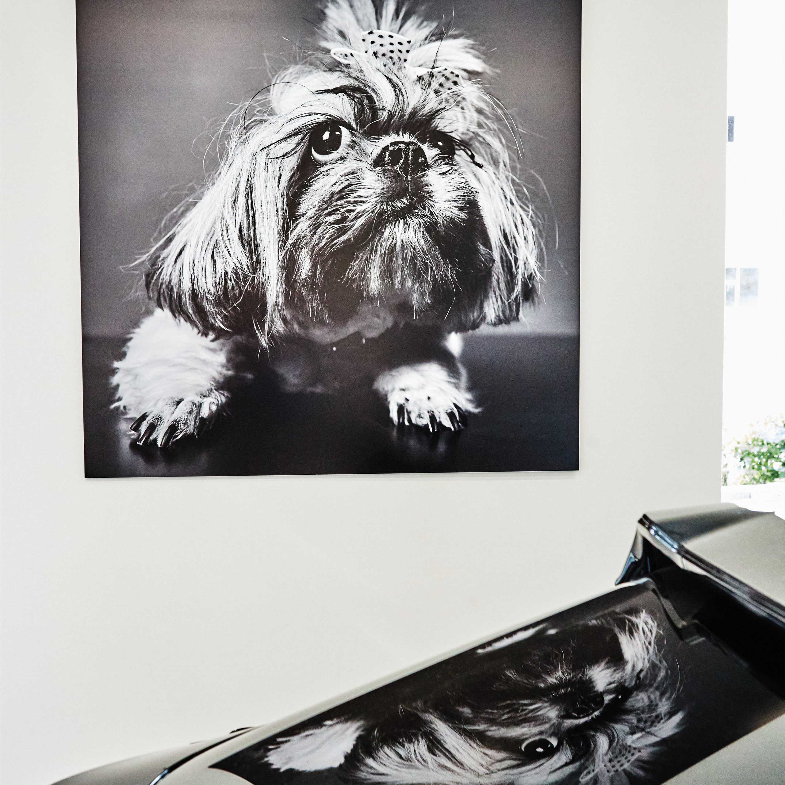 Отзывы. Фотограф Михаил Стенин