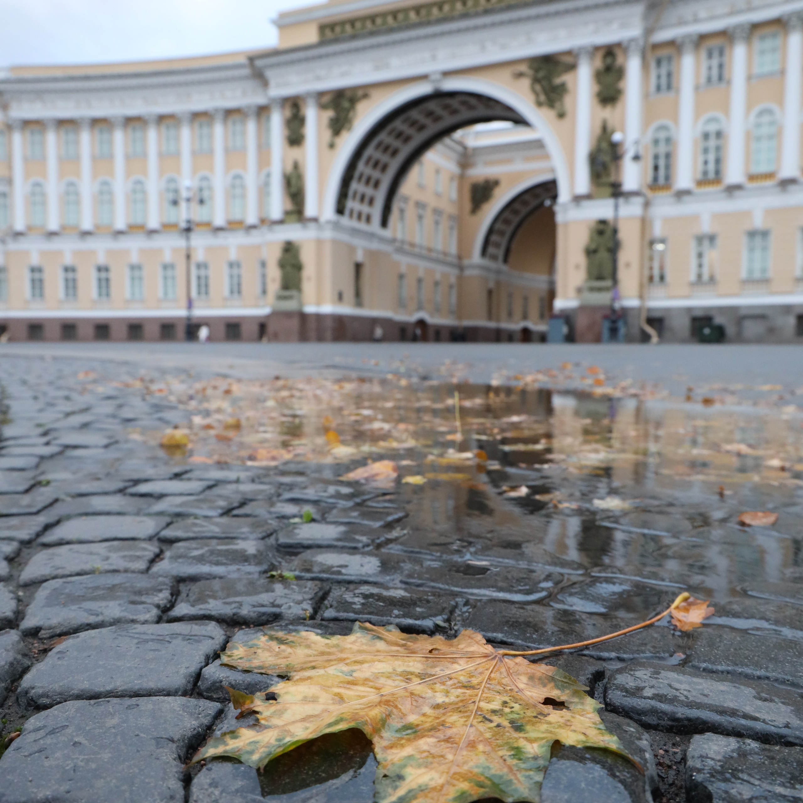 Мир вокруг нас. Разное