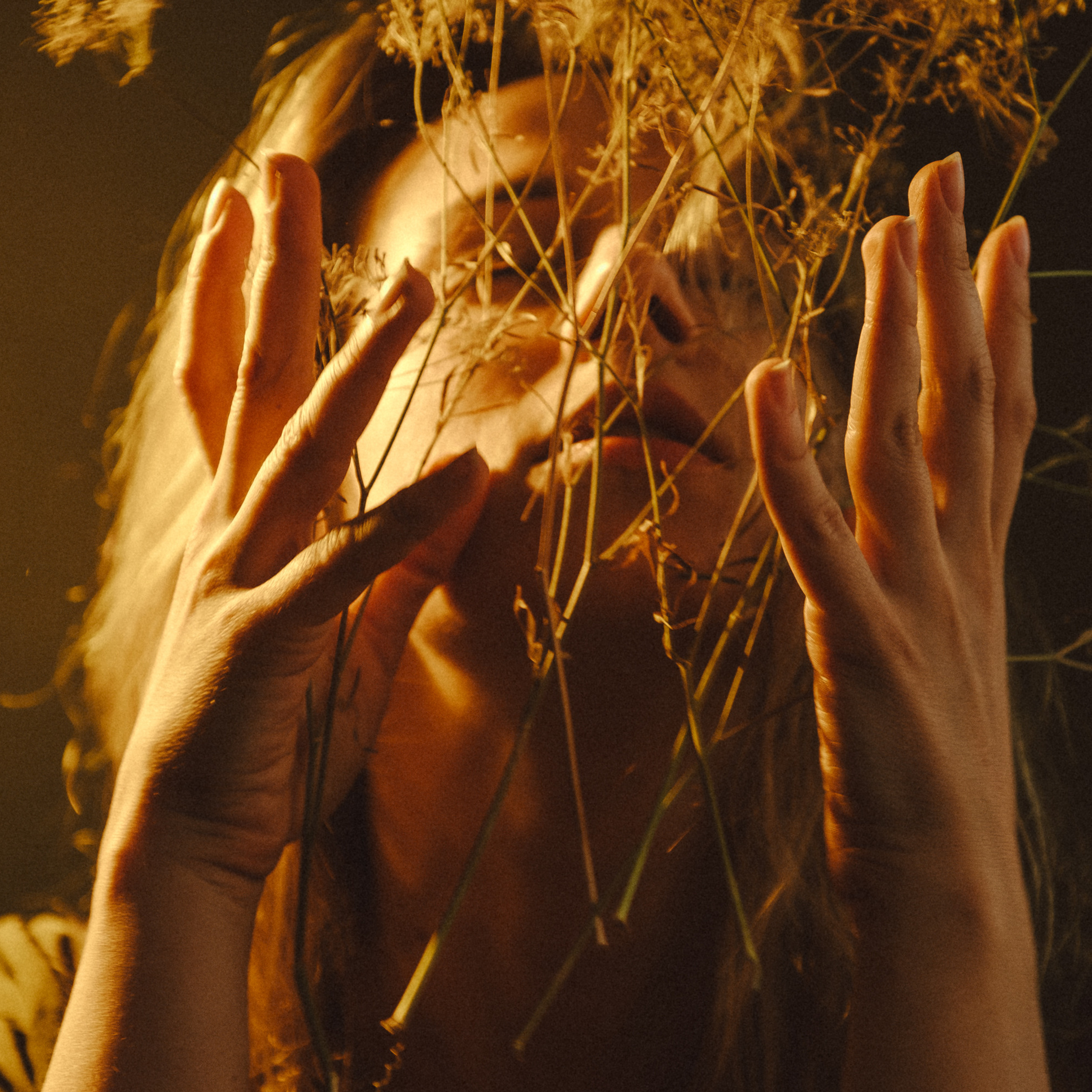 21 августа 2021, Саратов, домашняя съемка