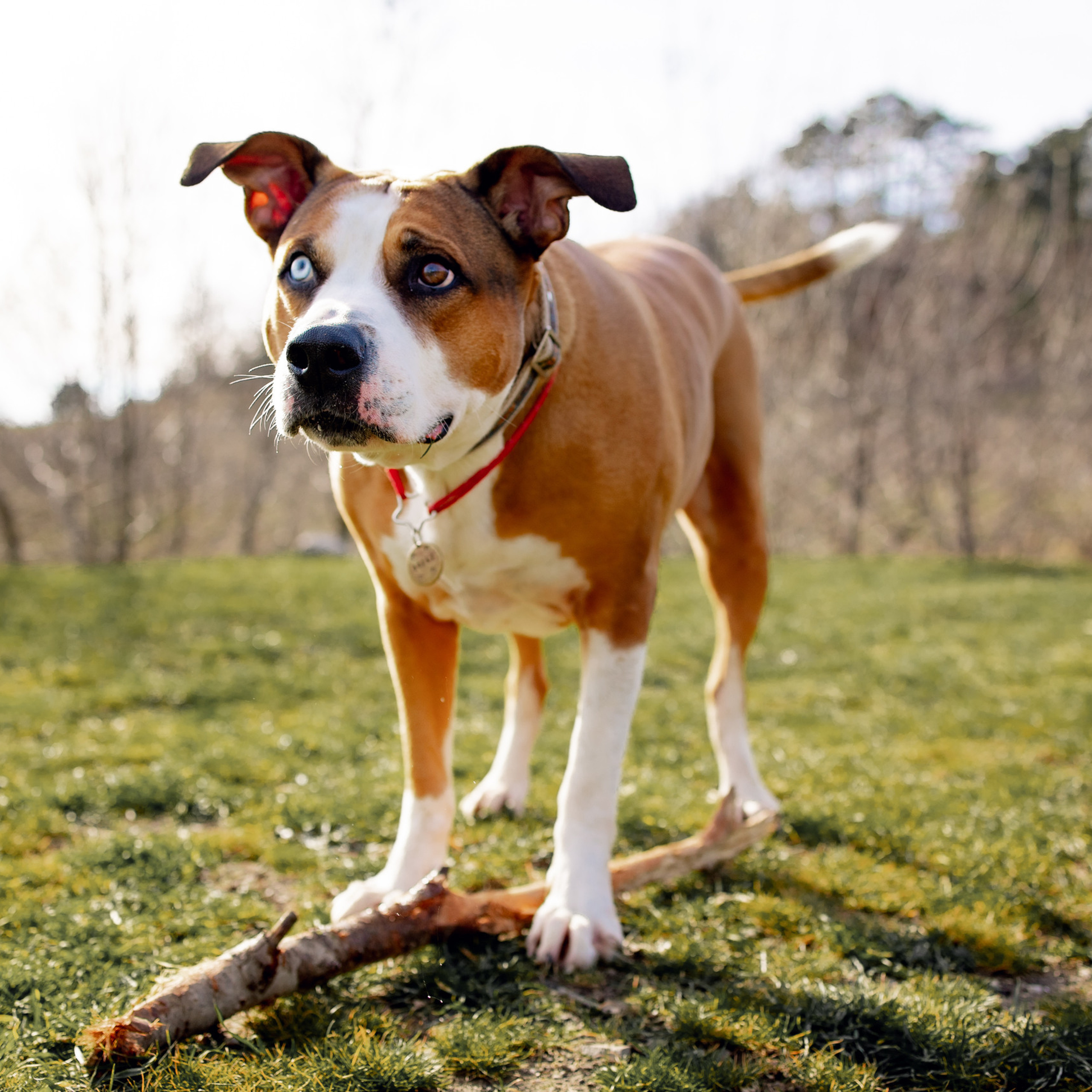 Отзывы. Фотосессии в Крыму. Добро пожаловать в мой Мир