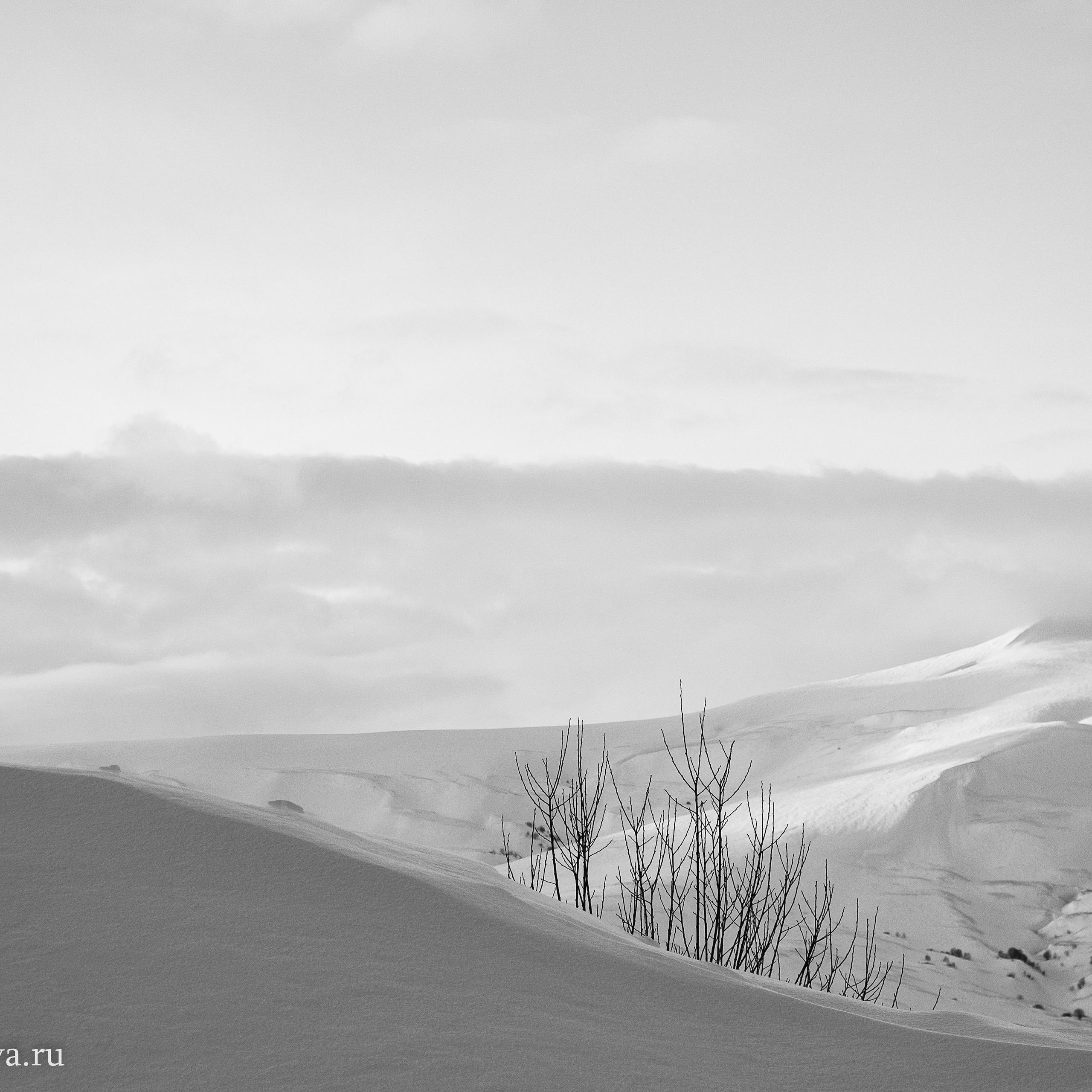 Отзывы. Фотограф в Ростове-на-Дону и по всему миру Веникова Ольга