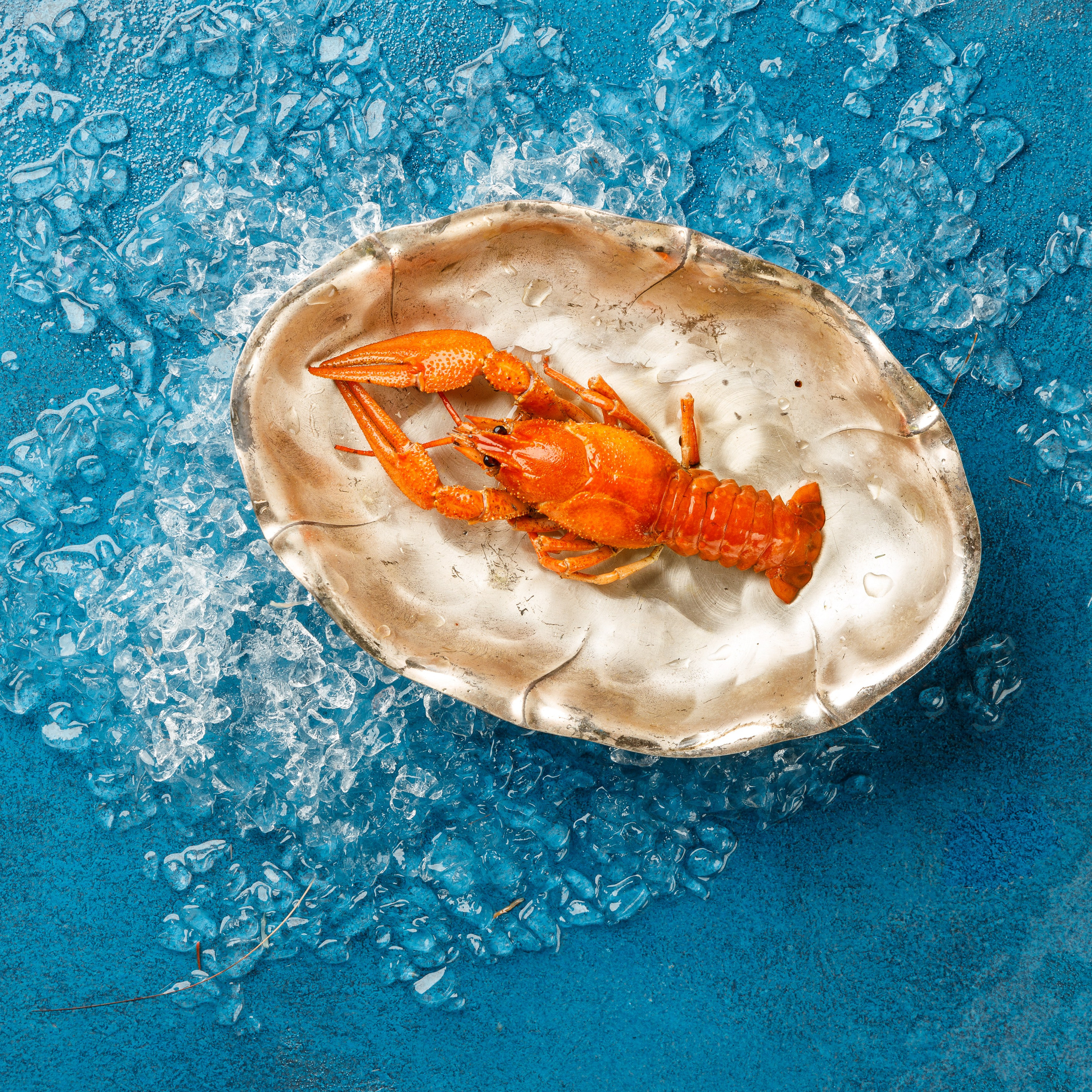 Живая Рыба. Предметная и фуд-фотография в Екатеринбурге Екатерина Ковалева