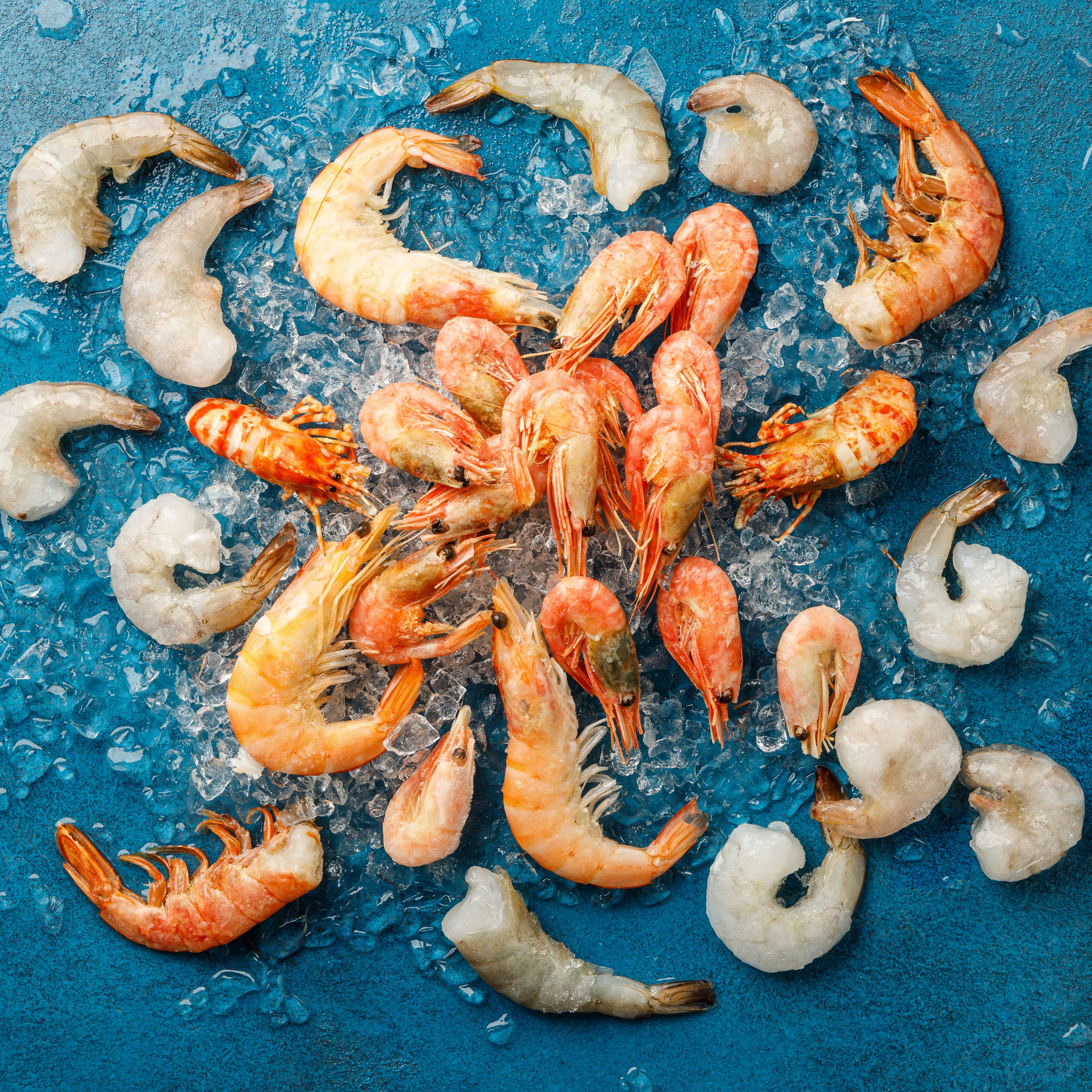 Живая Рыба. Предметная и фуд-фотография в Екатеринбурге Екатерина Ковалева