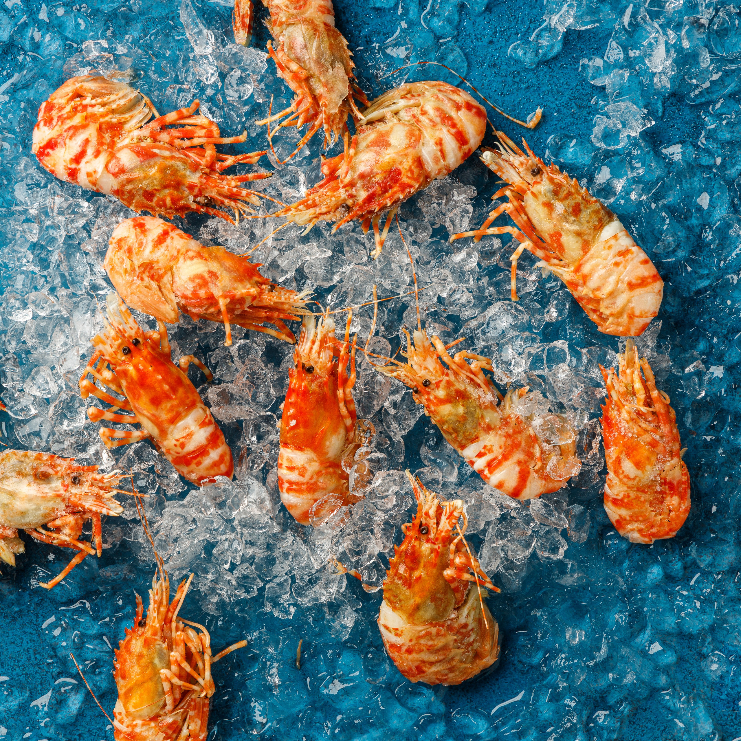 Живая Рыба. Предметная и фуд-фотография в Екатеринбурге Екатерина Ковалева