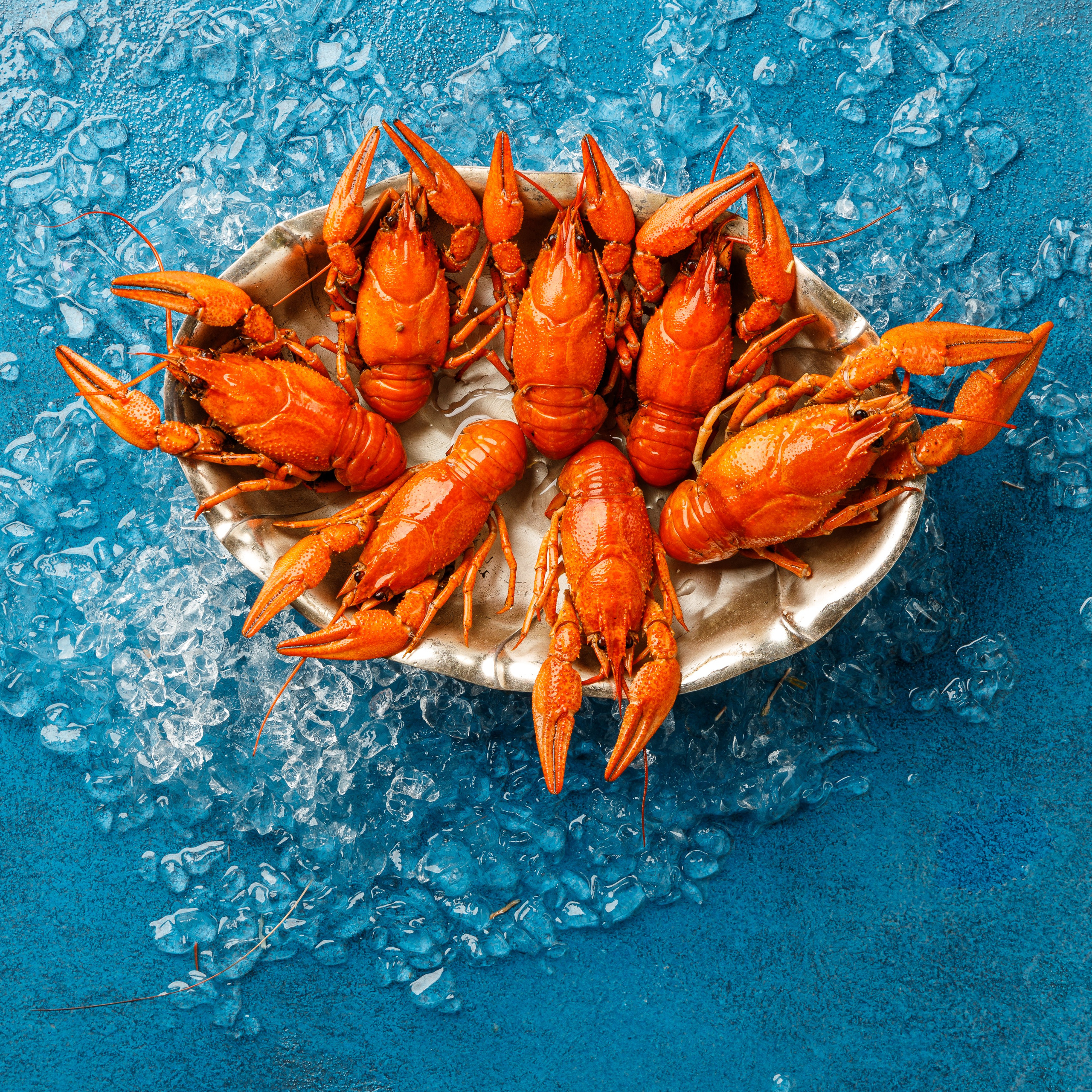 Живая Рыба. Предметная и фуд-фотография в Екатеринбурге Екатерина Ковалева