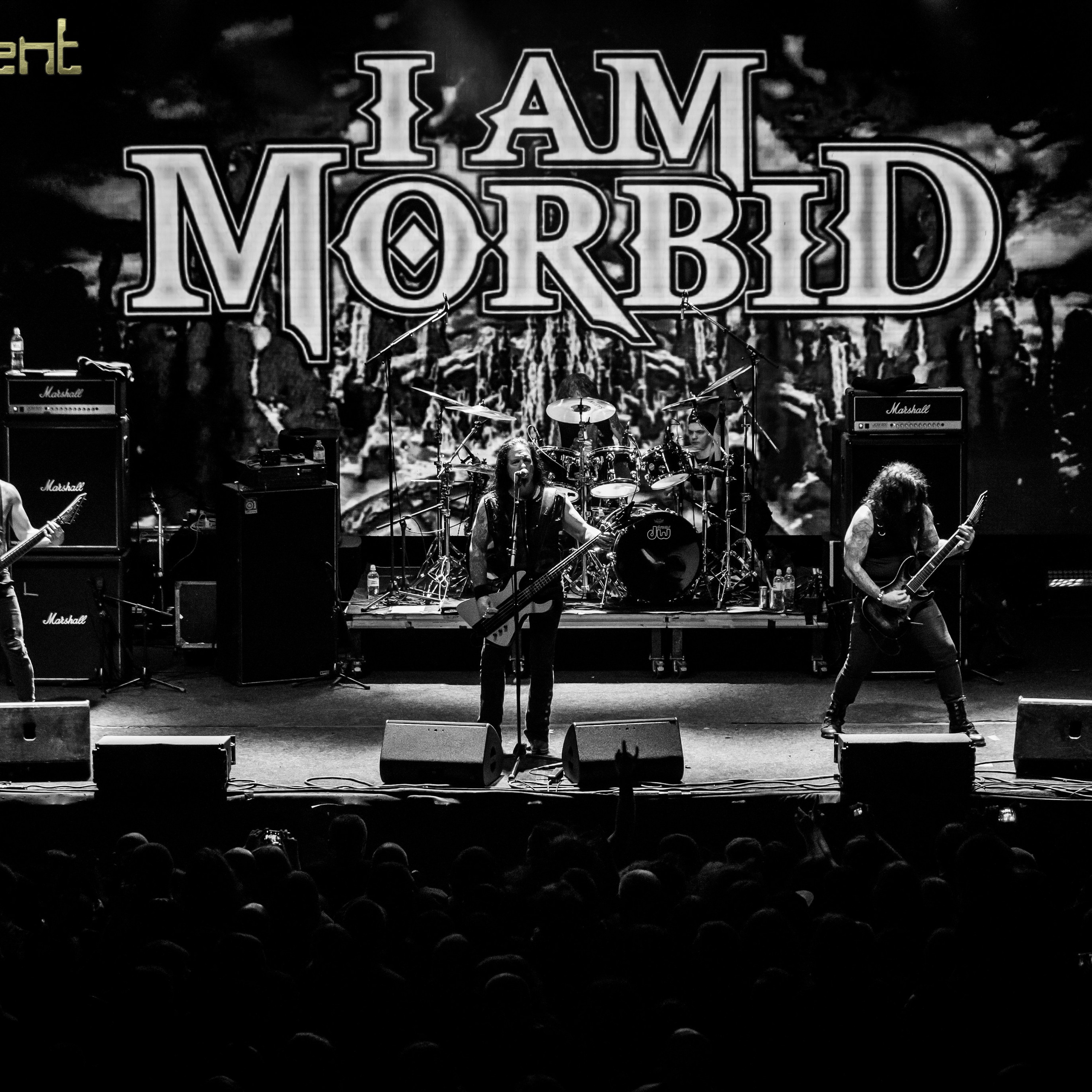 I Am Morbid (USA)