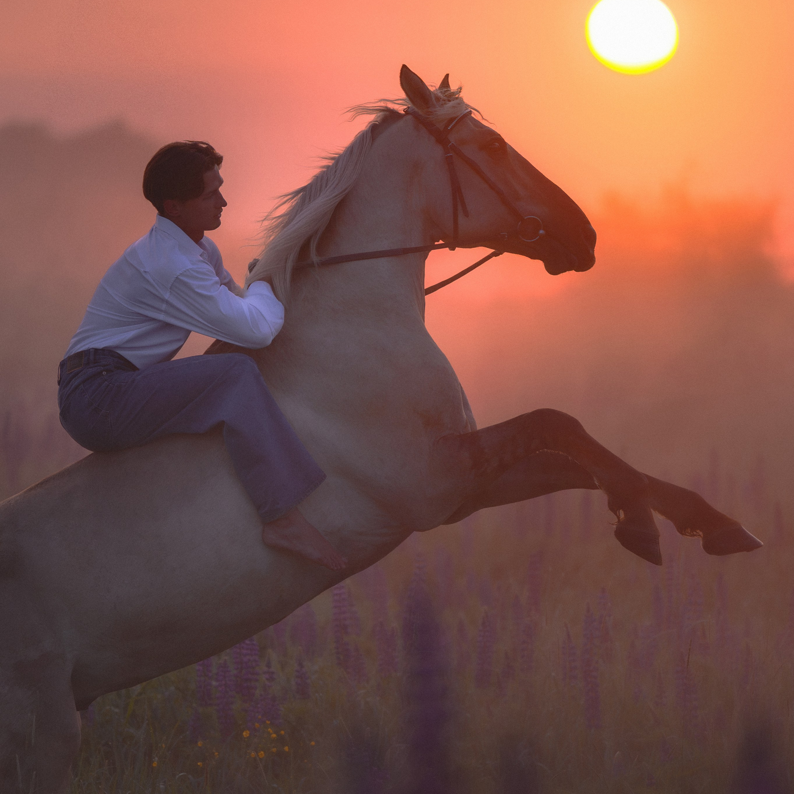 Рассвет в Подмосковье