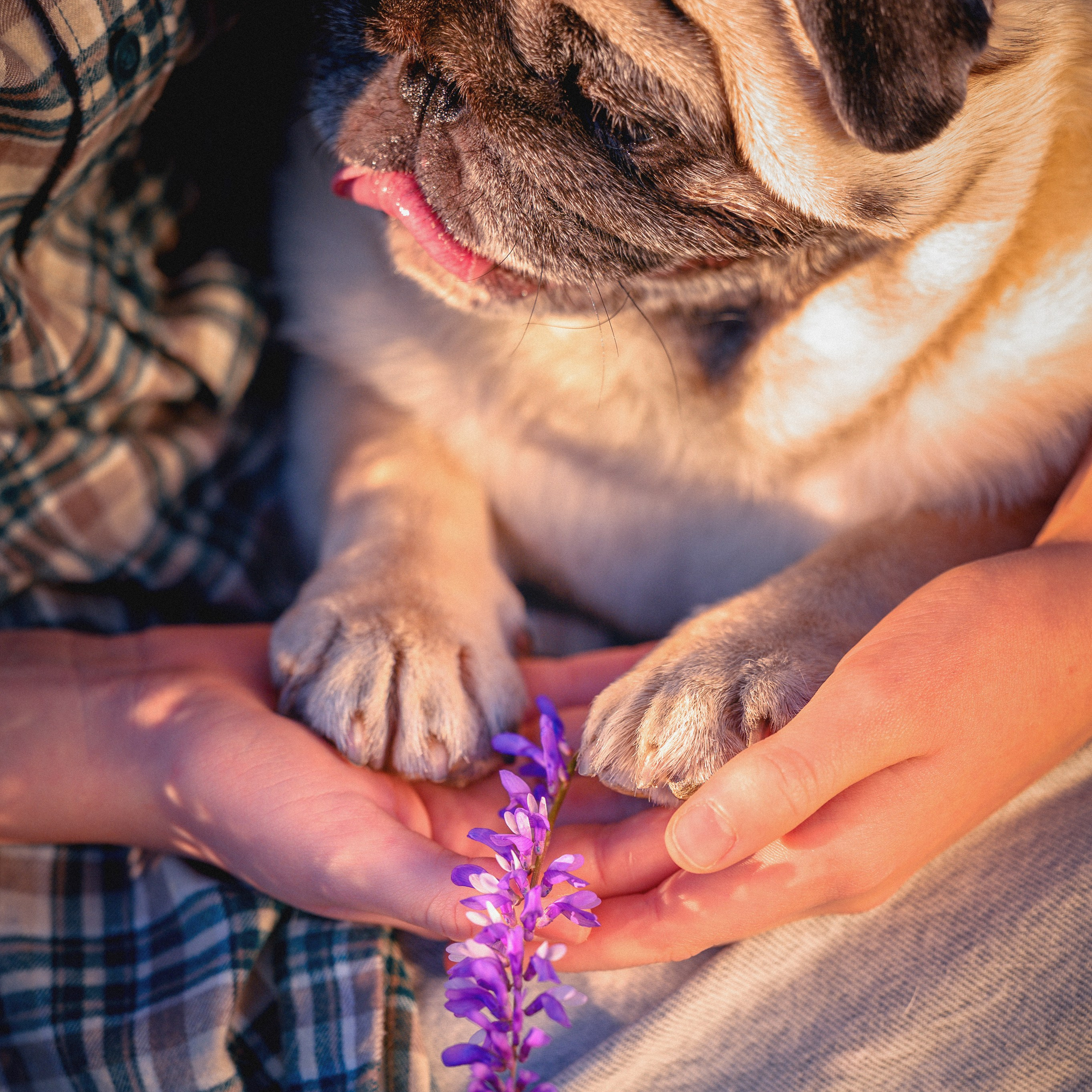 Весенняя прогулка