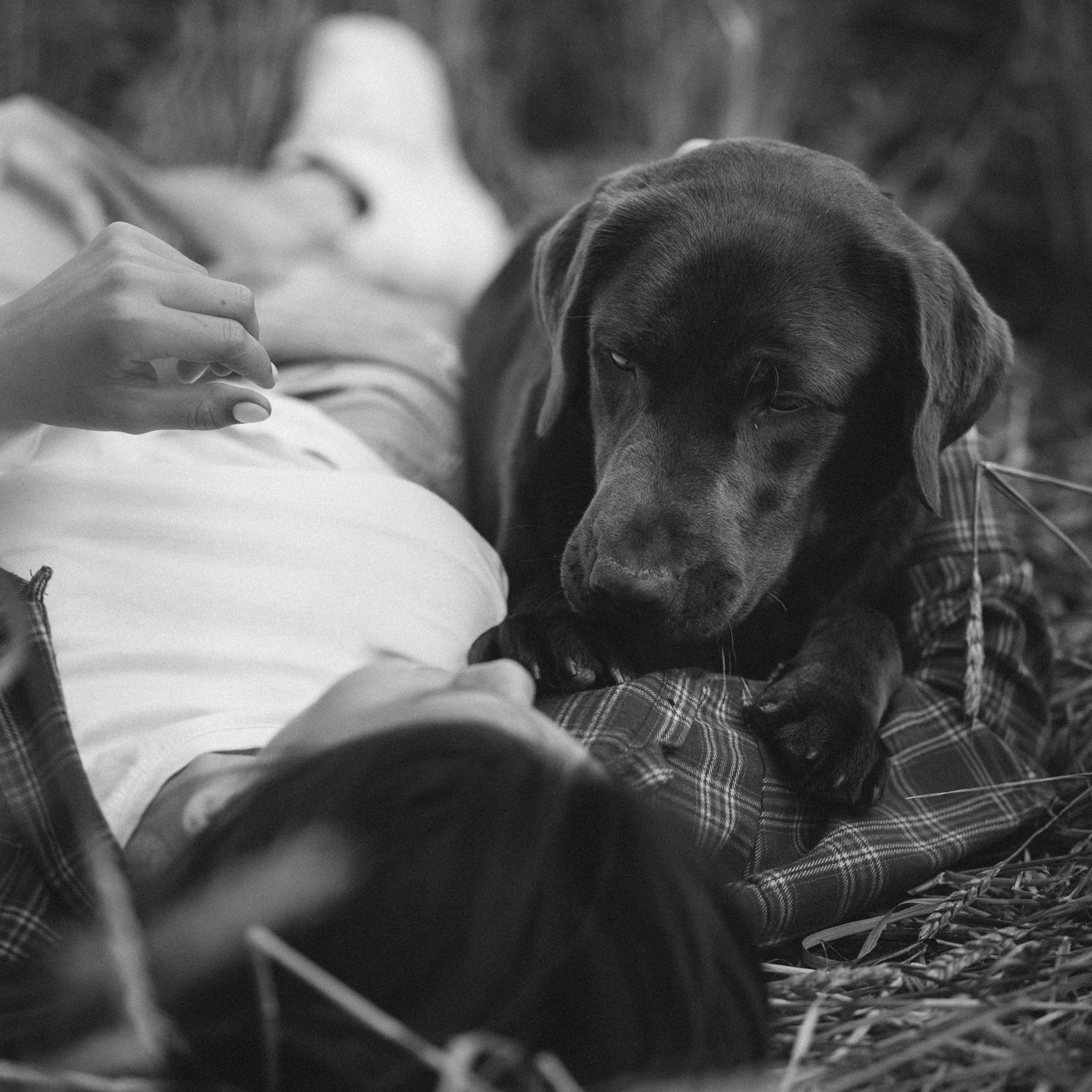 Отзывы. Фотограф в Ростове —на — Дону