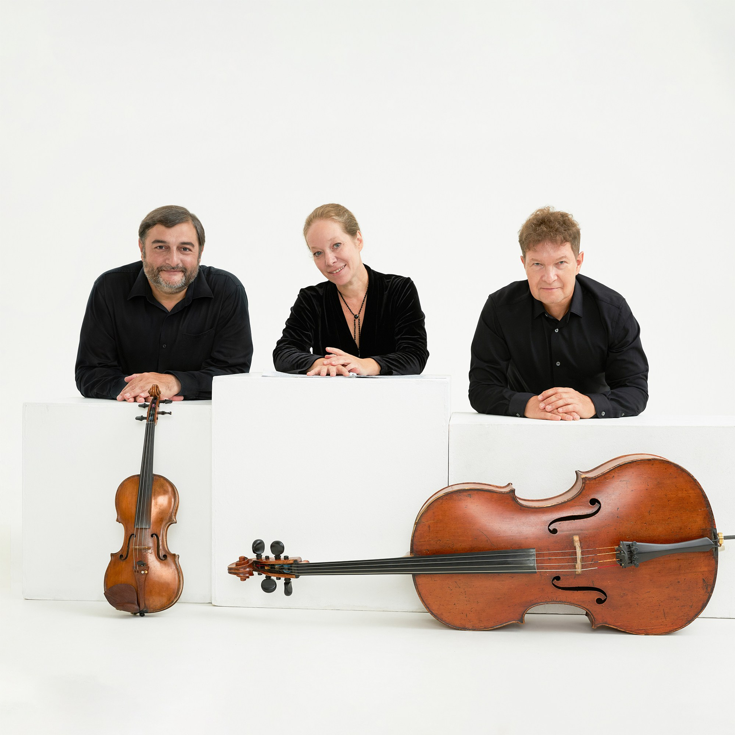 BRAHMS TRIO