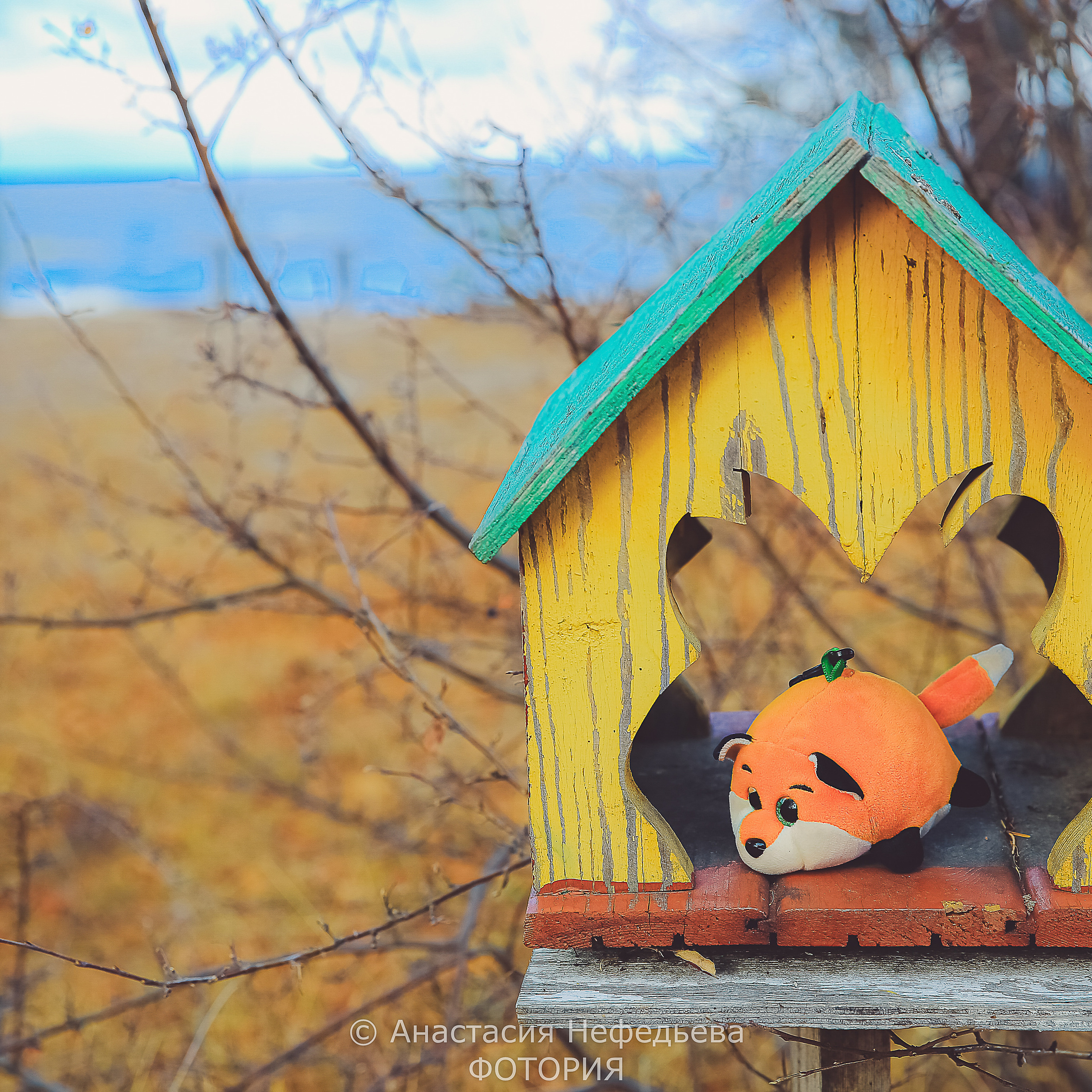 Отзывы. Профессиональный фотограф. Работаю в Улан-Удэ, Новосибирске и др