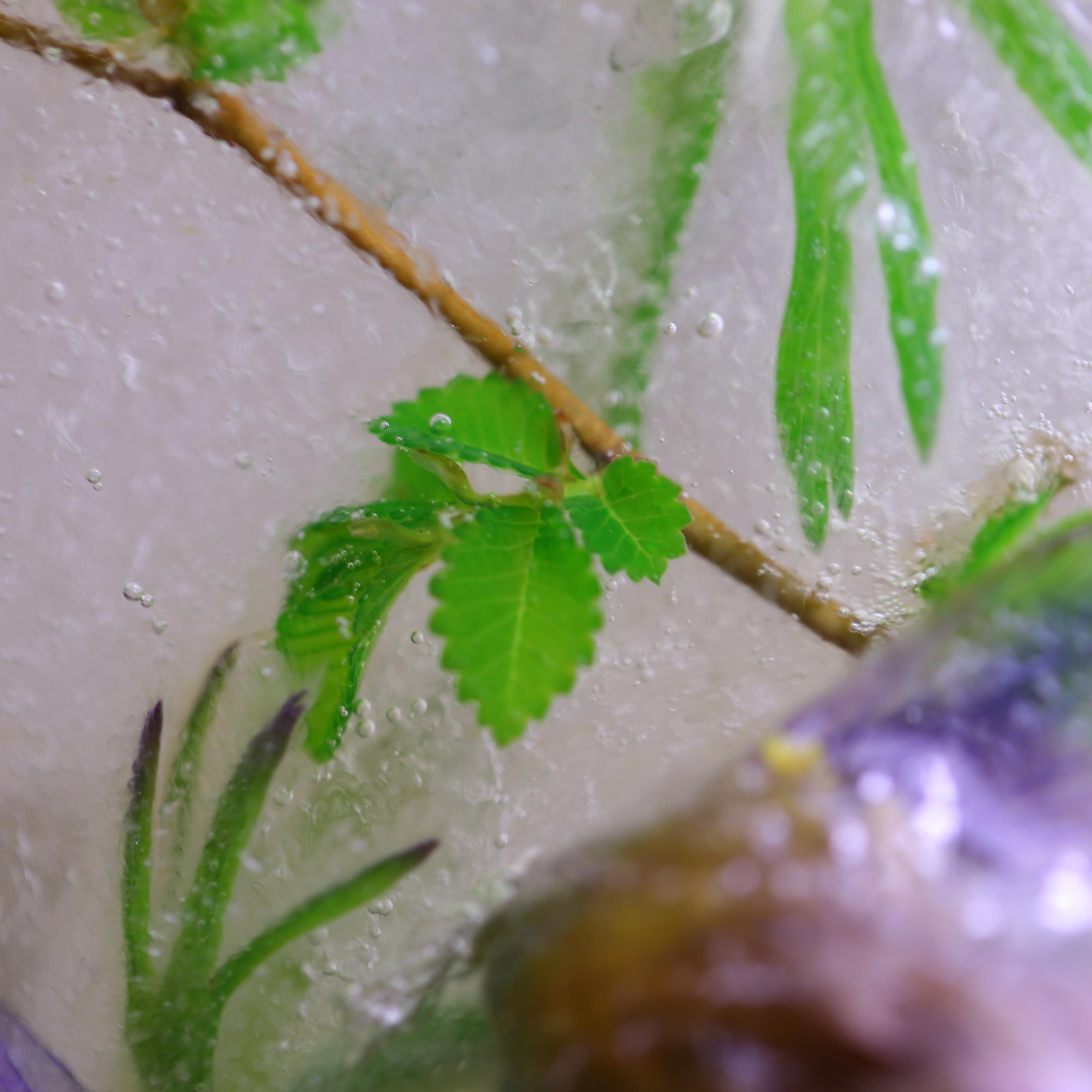 Отзывы. Профессиональный фотограф. Работаю в Улан-Удэ, Новосибирске и др