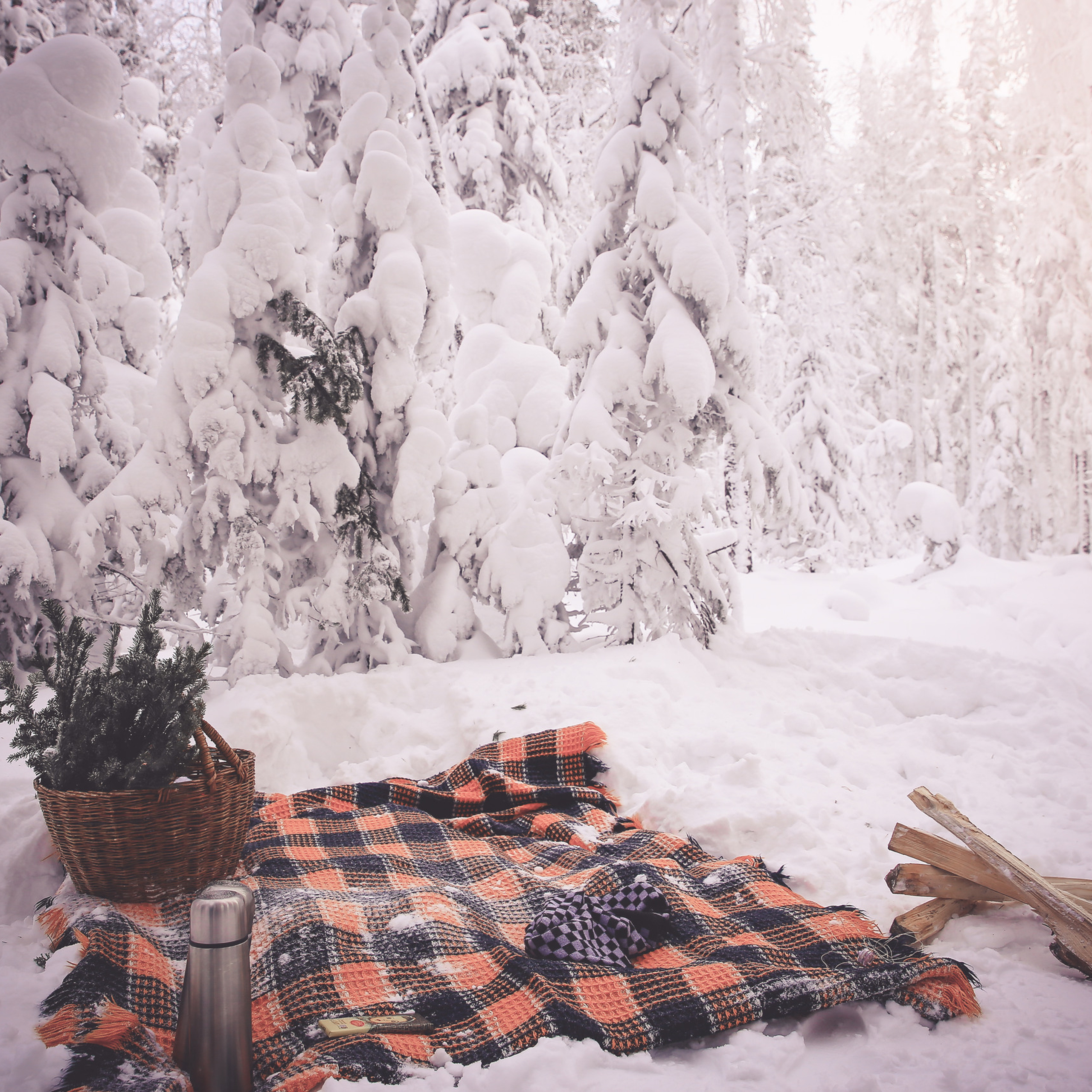 Отзывы. Профессиональный фотограф. Работаю в Улан-Удэ, Новосибирске и др