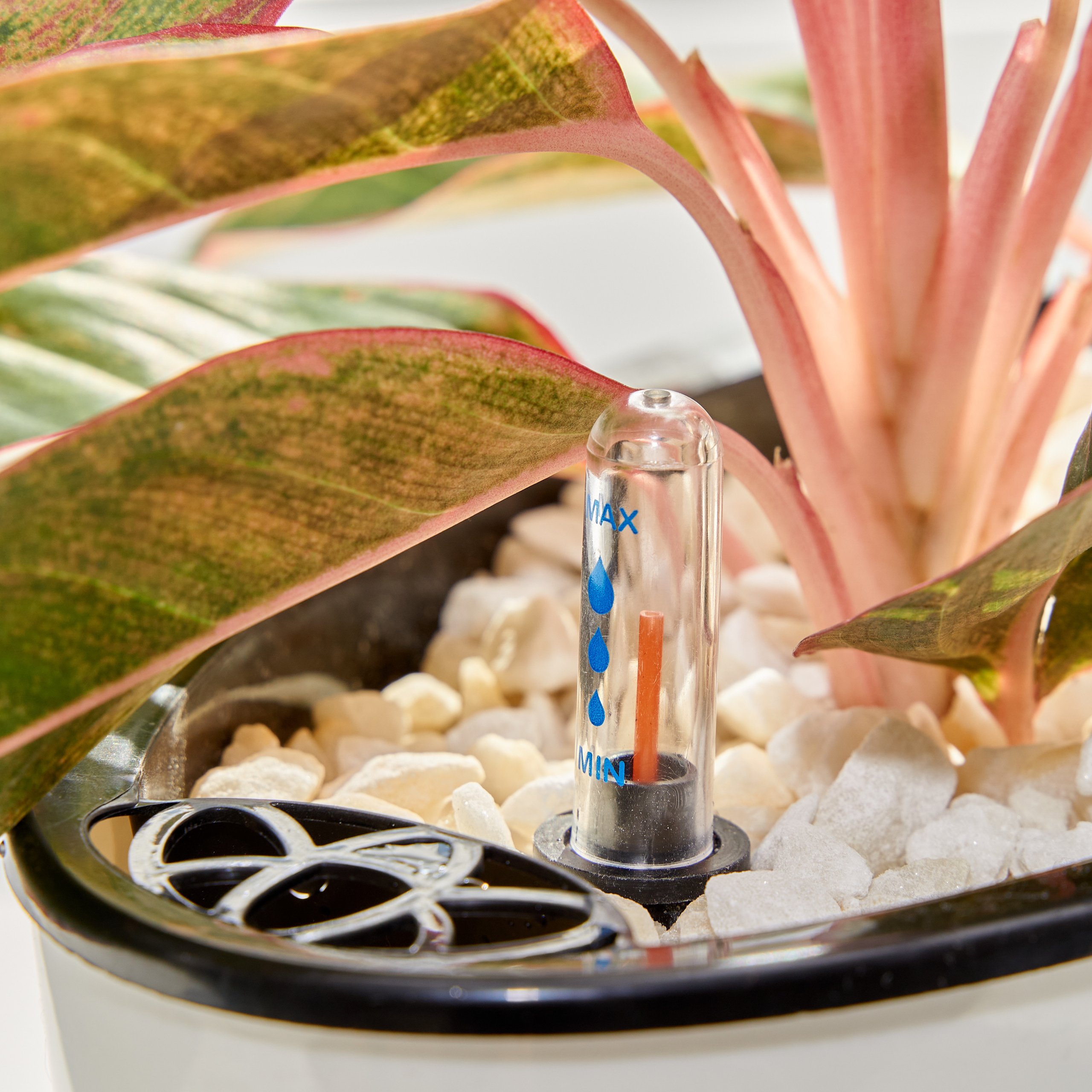 Имиджевая предметная фотосъёмка для каталогов, сайта, маркетплейсов - Казань