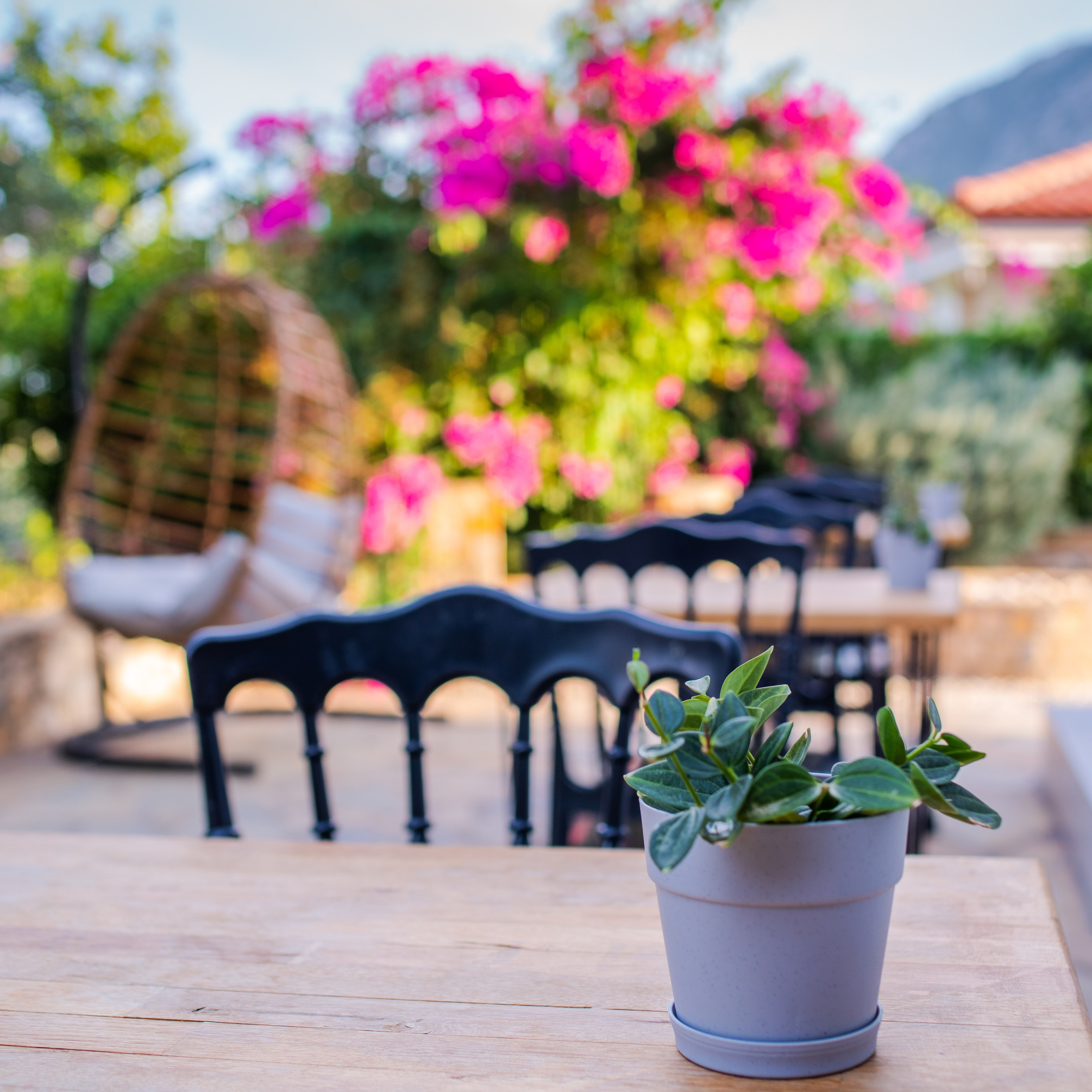 Репортажная съёмка Ретрит. Адрасен. Фотограф в Анталии | Профессиональная фотосессия | Наталья Цыбульская