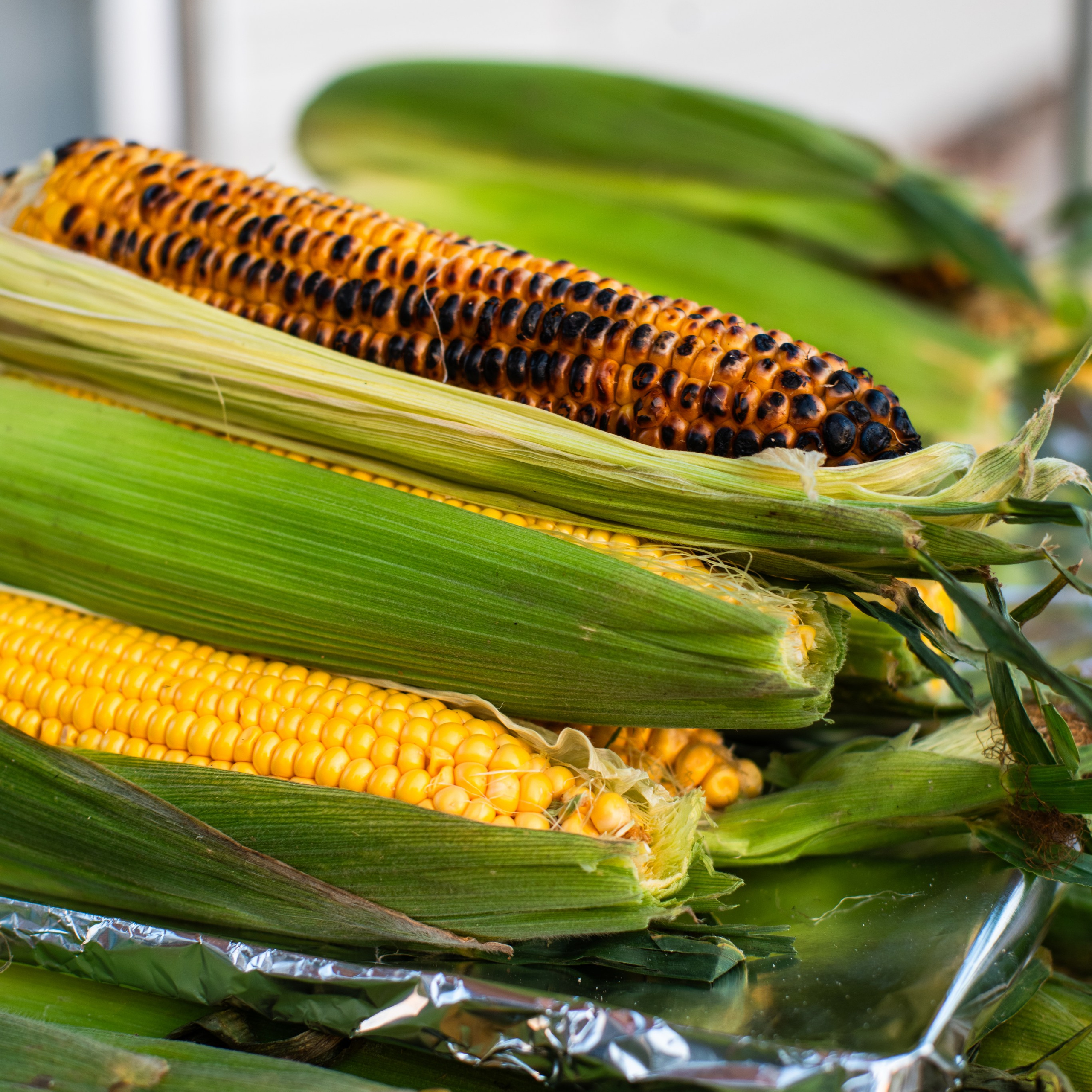 Kaleiçi Antalya Индивидуальная прогулка Калейчи. Фотограф в Анталии | Профессиональная фотосессия | Наталья Цыбульская
