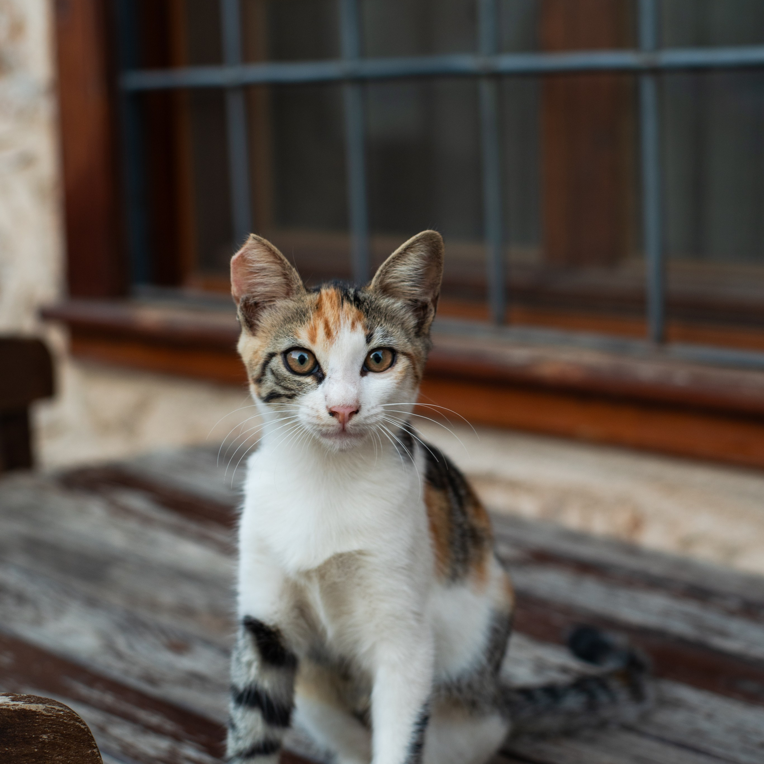 Kaleiçi Antalya Индивидуальная прогулка Калейчи. Фотограф в Анталии | Профессиональная фотосессия | Наталья Цыбульская