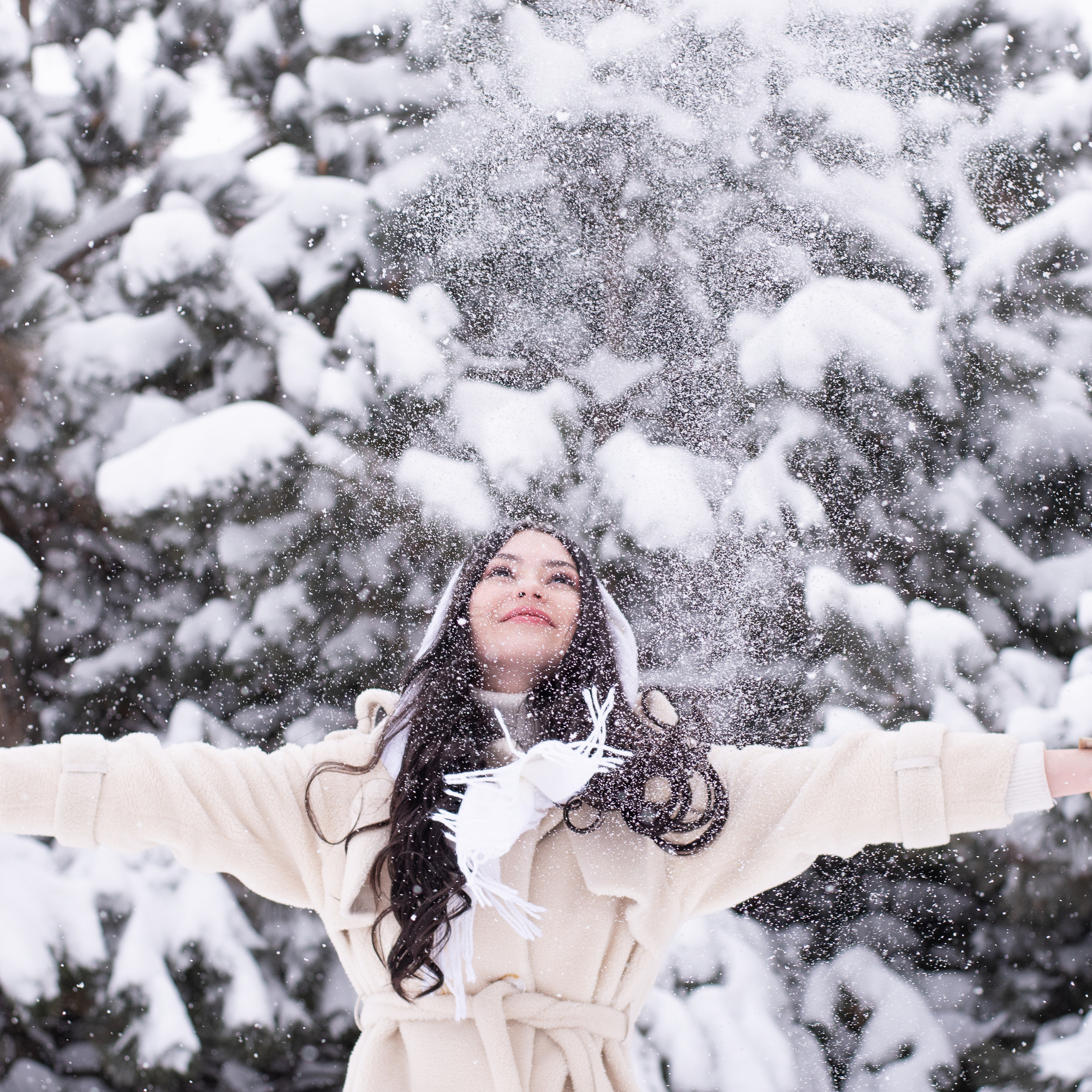 Первый снег