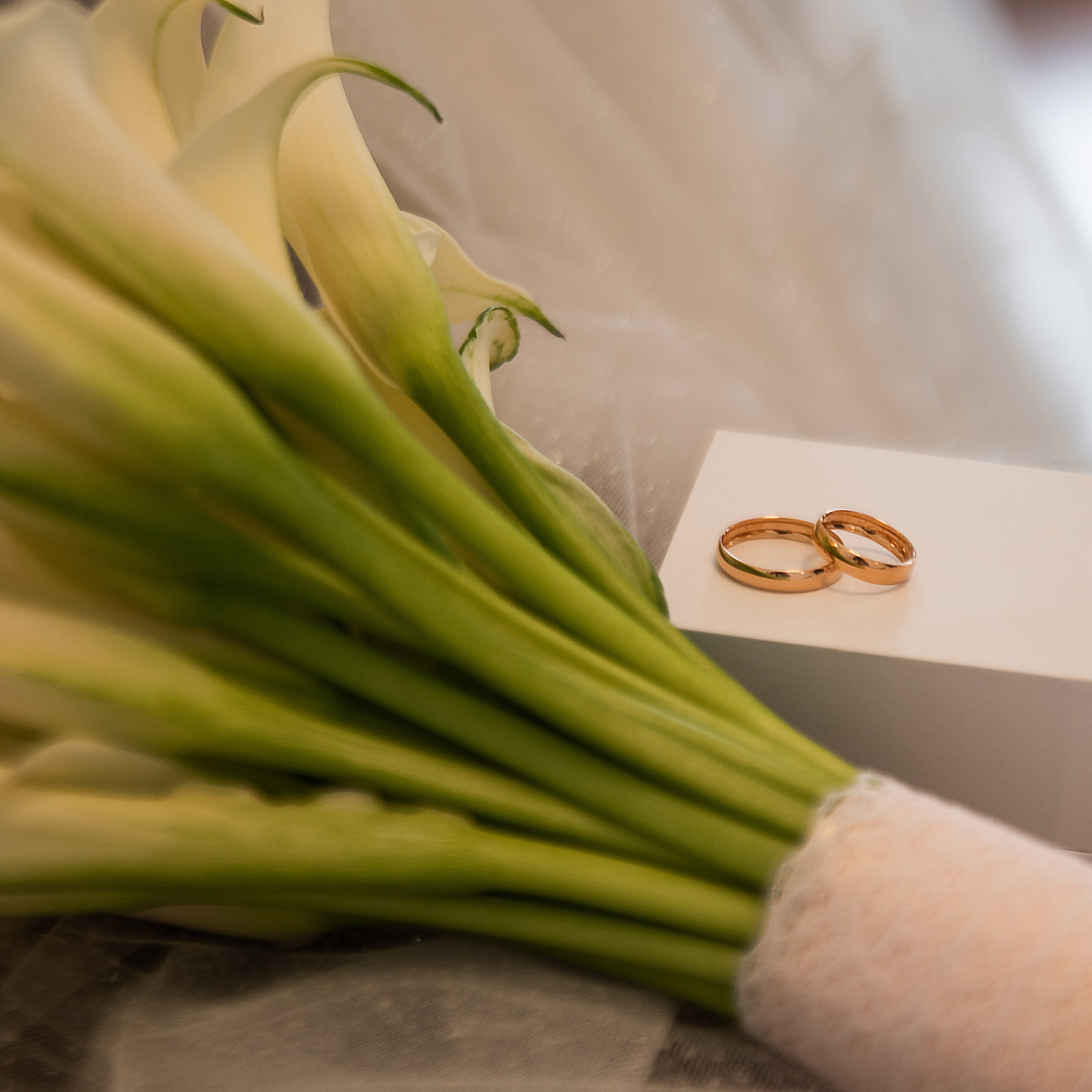 Игорь и Анастасия